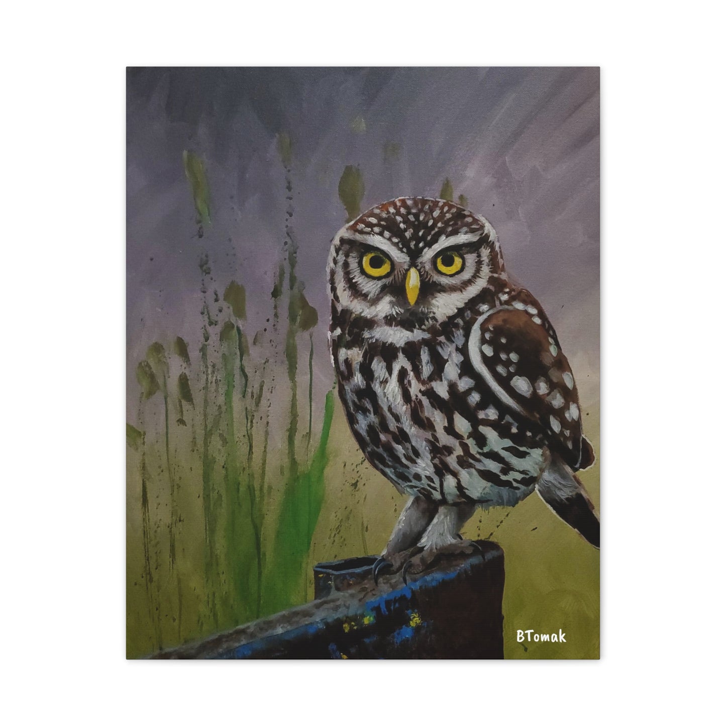 Owl Canvas Stretched