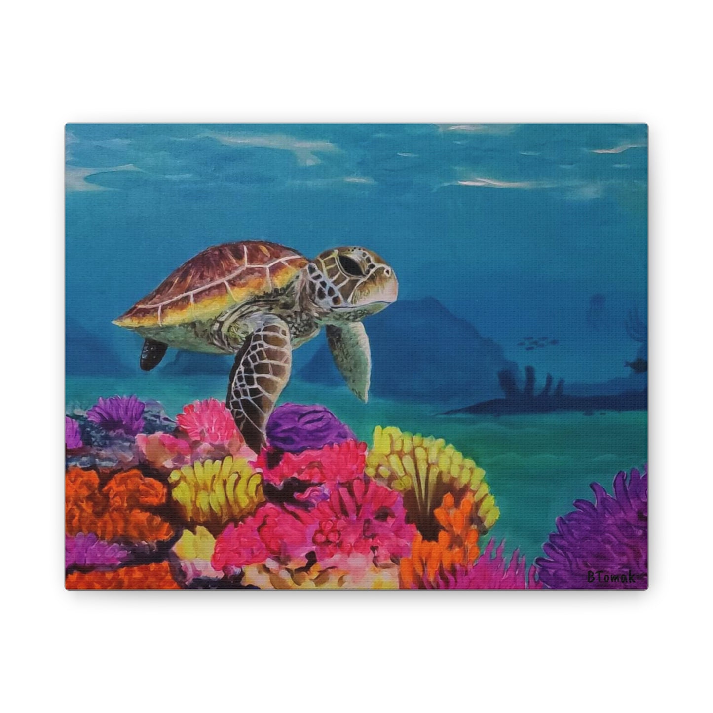 Tready Freddie Canvas Stretched