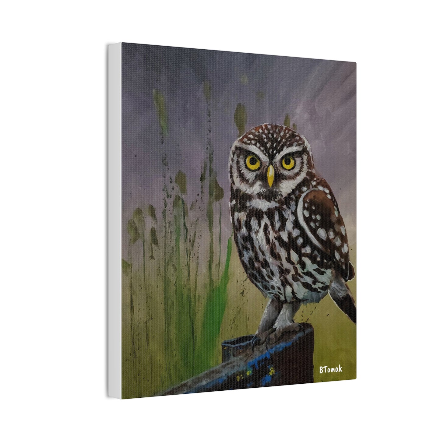 Owl Canvas Stretched