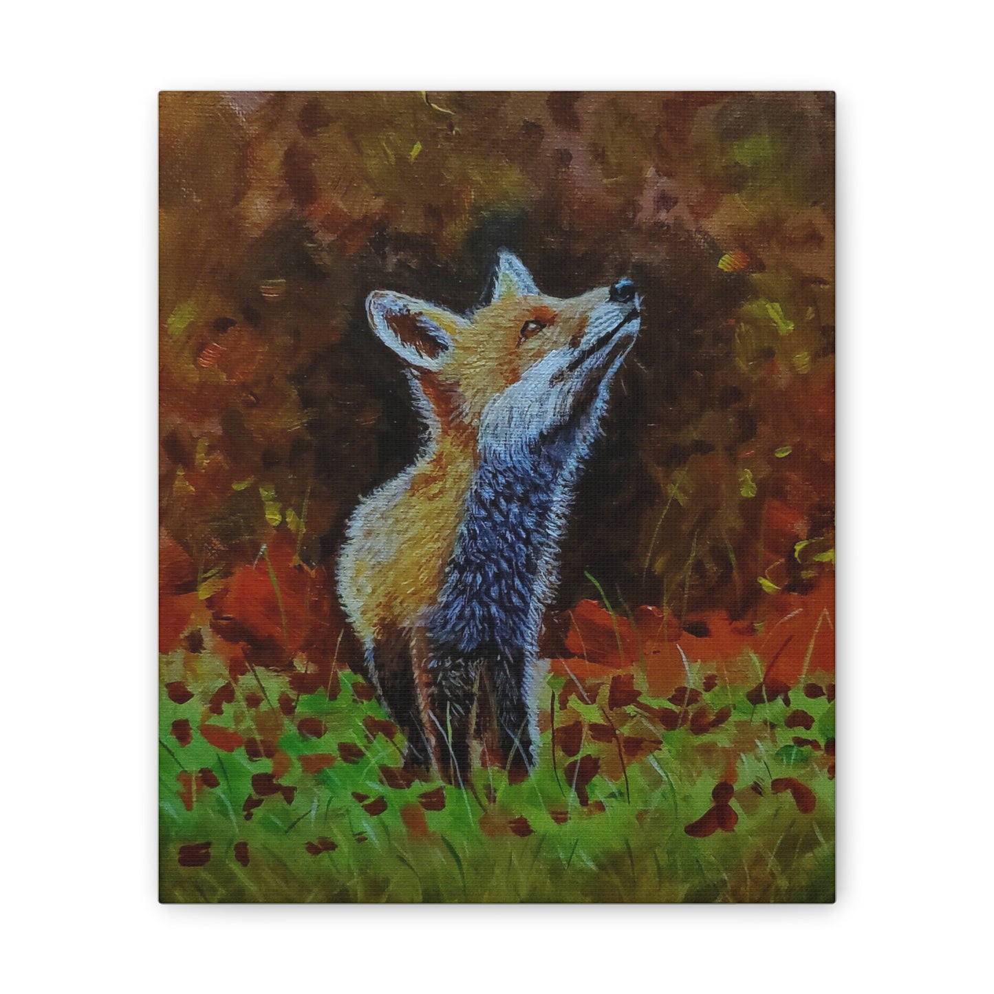 Fox, Canvas Stretched