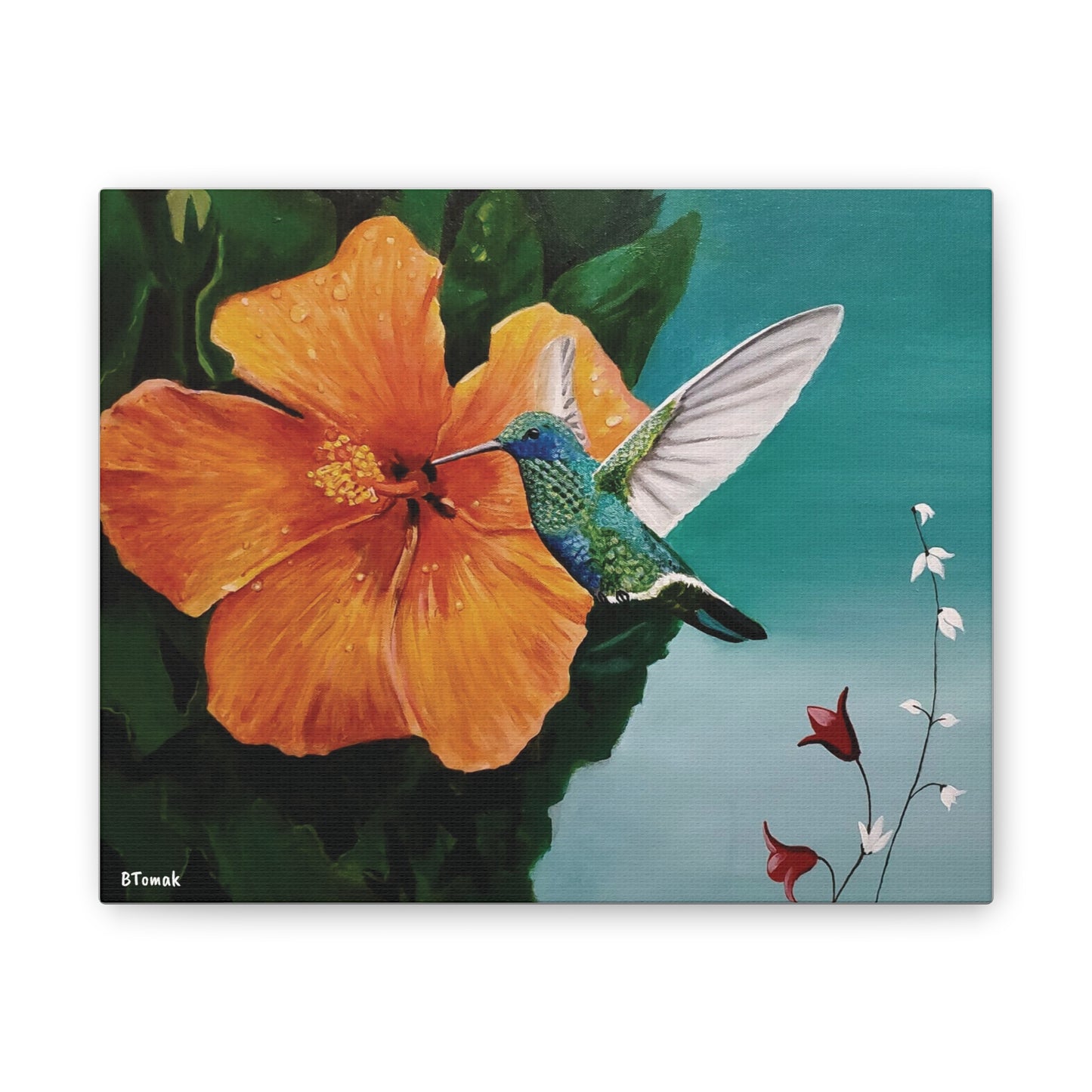 Humming Bird Canvas Stretched