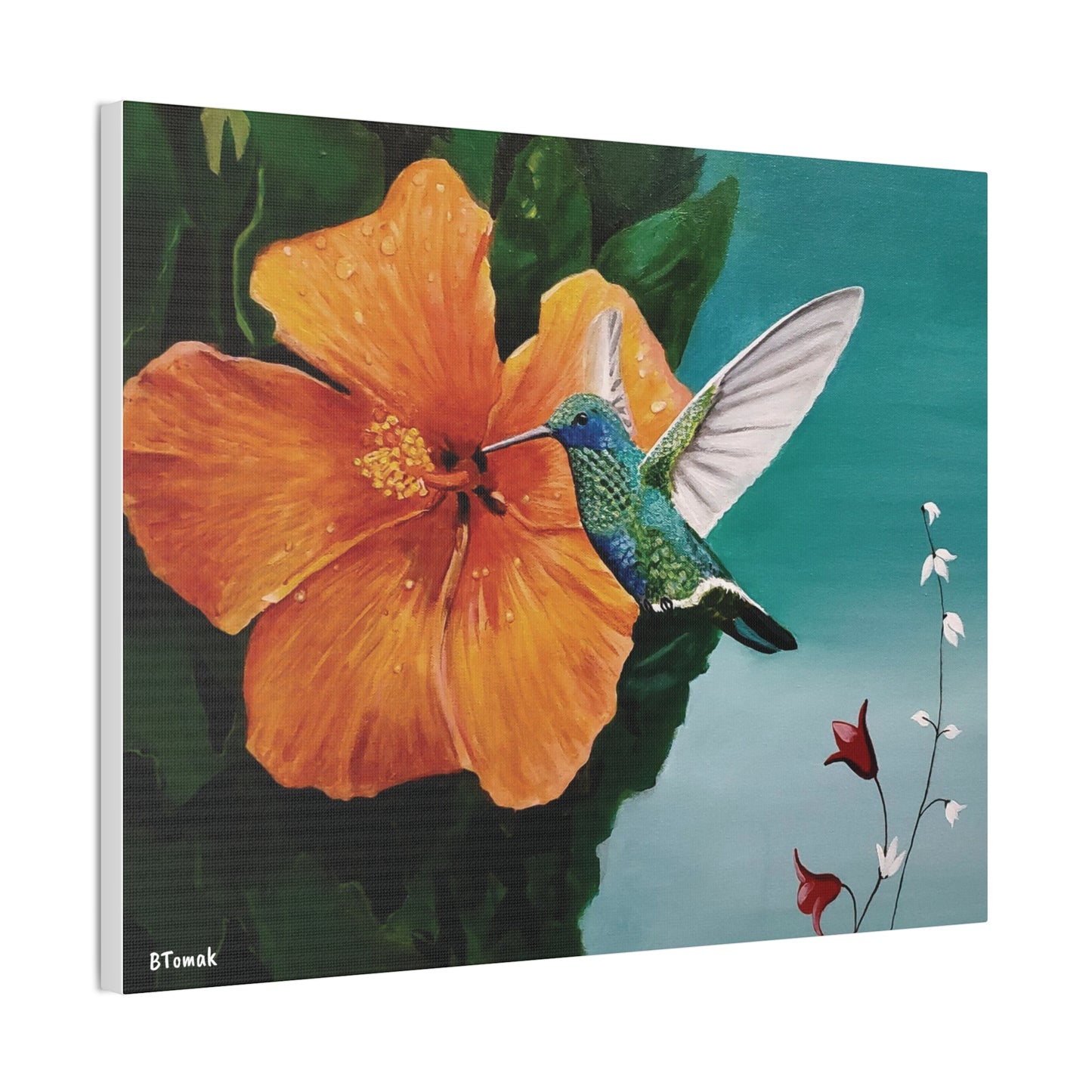 Humming Bird Canvas Stretched