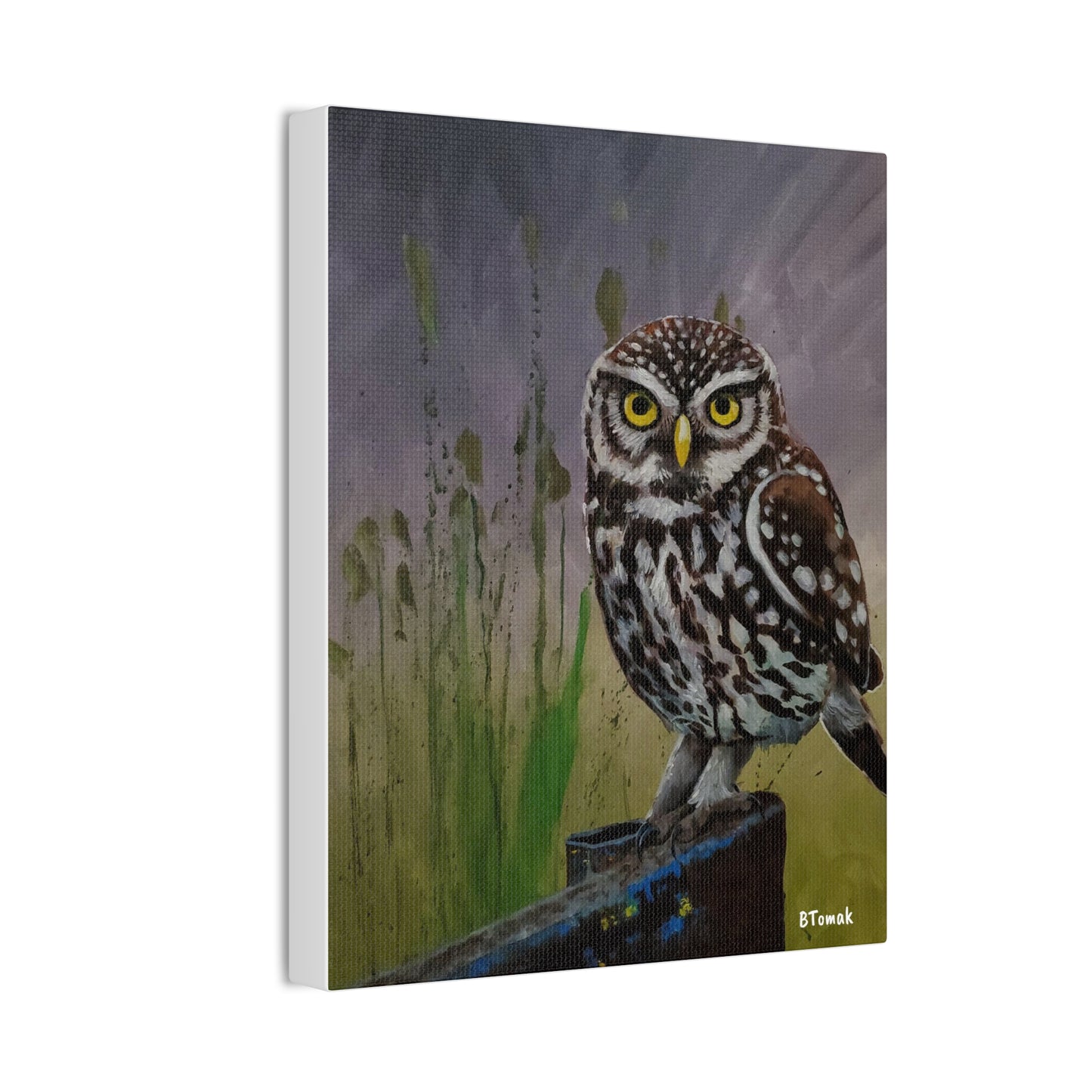 Owl Canvas Stretched