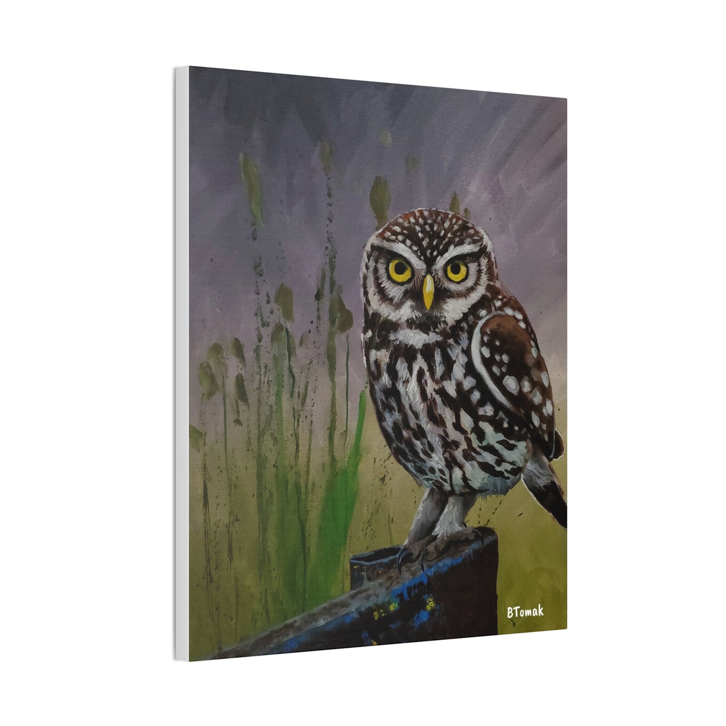 Owl Canvas Stretched