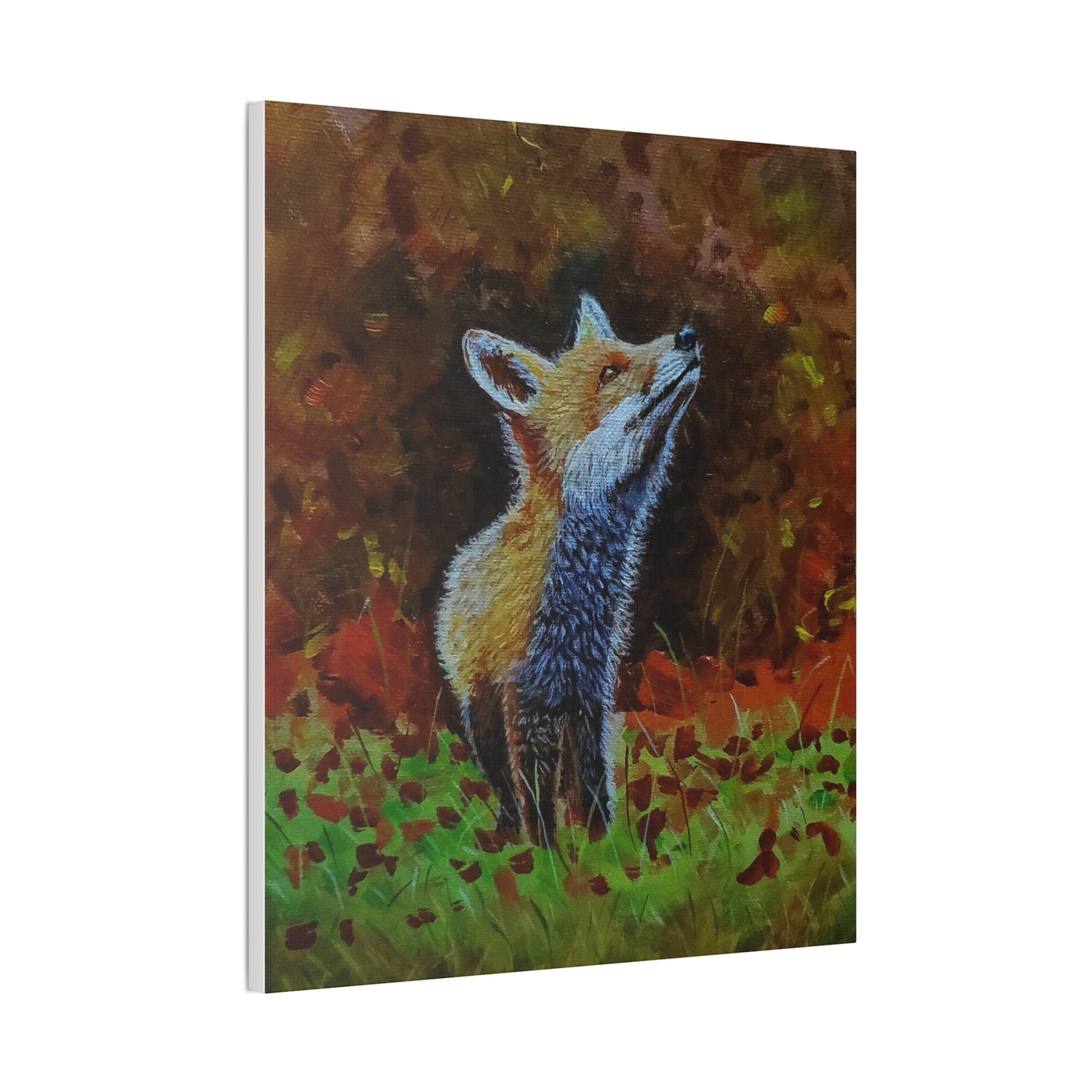 Fox, Canvas Stretched