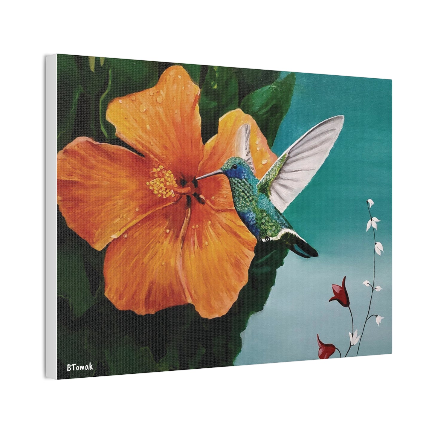 Humming Bird Canvas Stretched