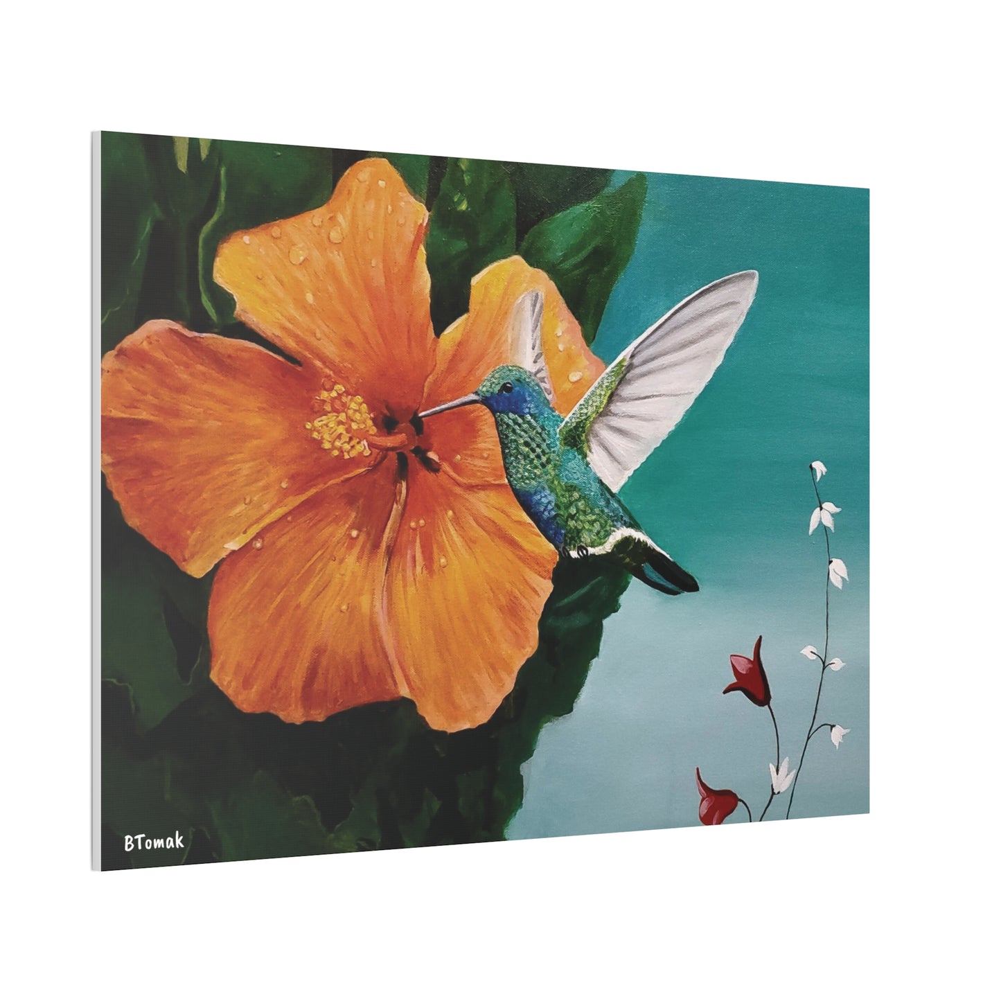 Humming Bird Canvas Stretched
