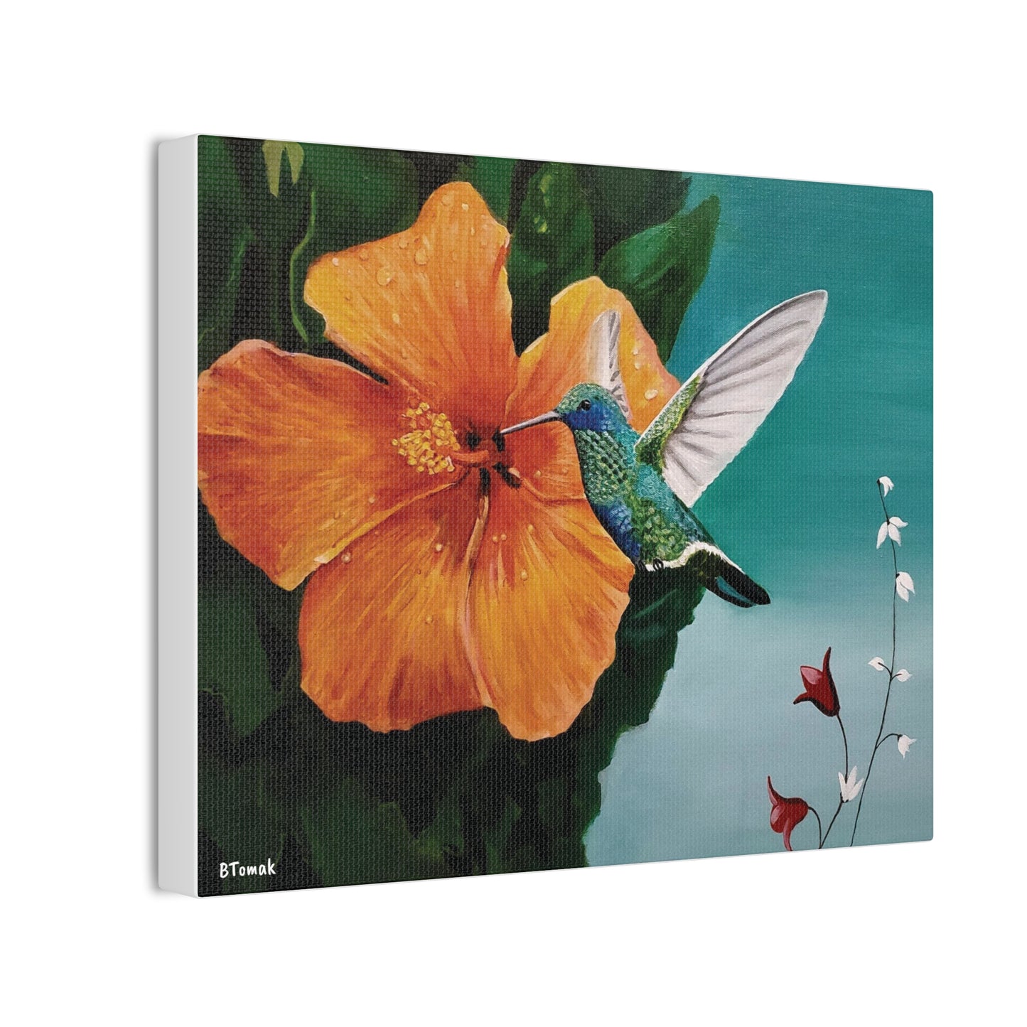 Humming Bird Canvas Stretched