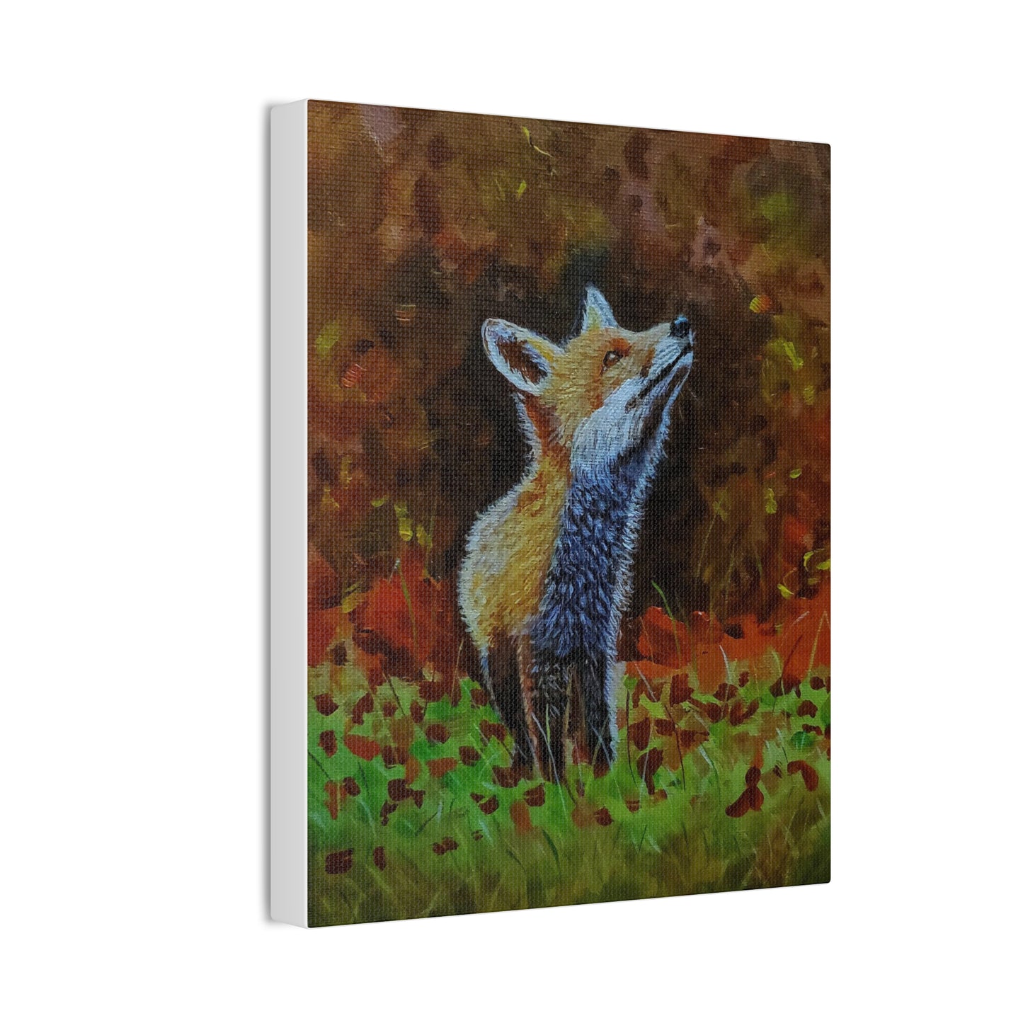 Fox, Canvas Stretched