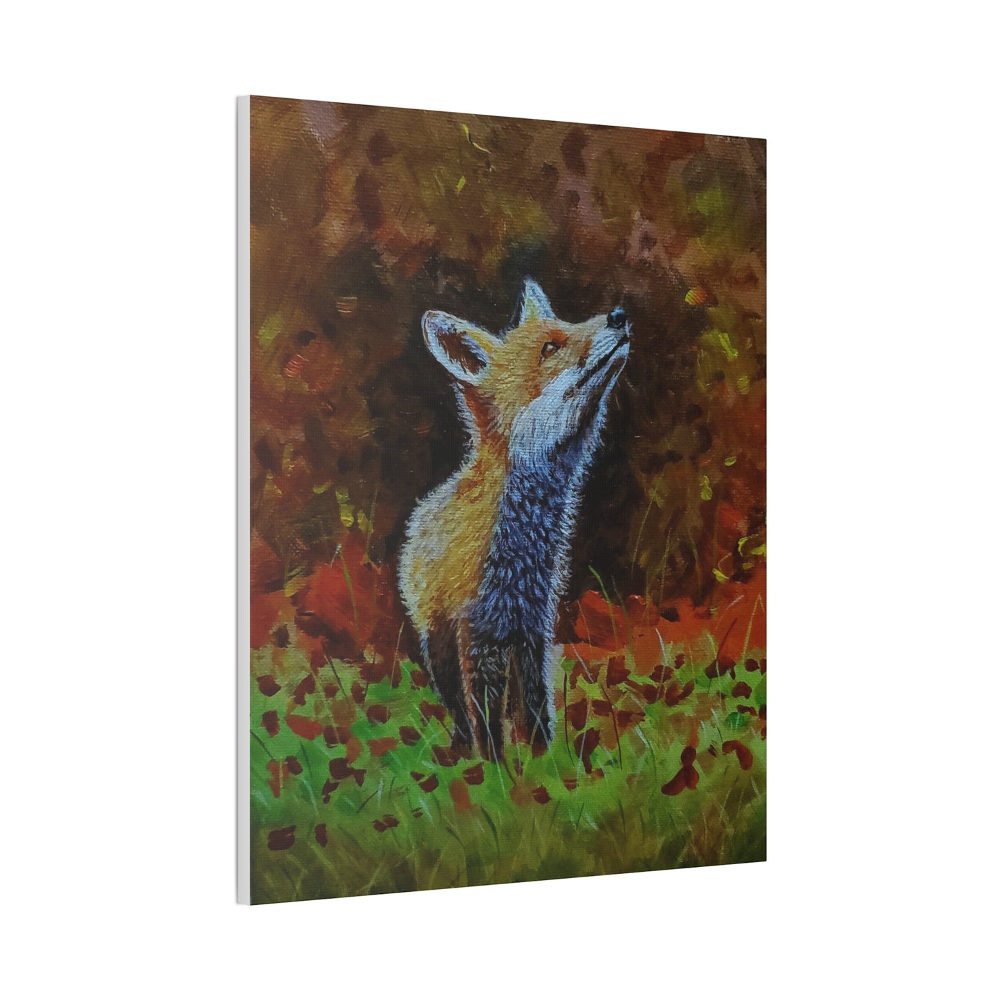 Fox, Canvas Stretched