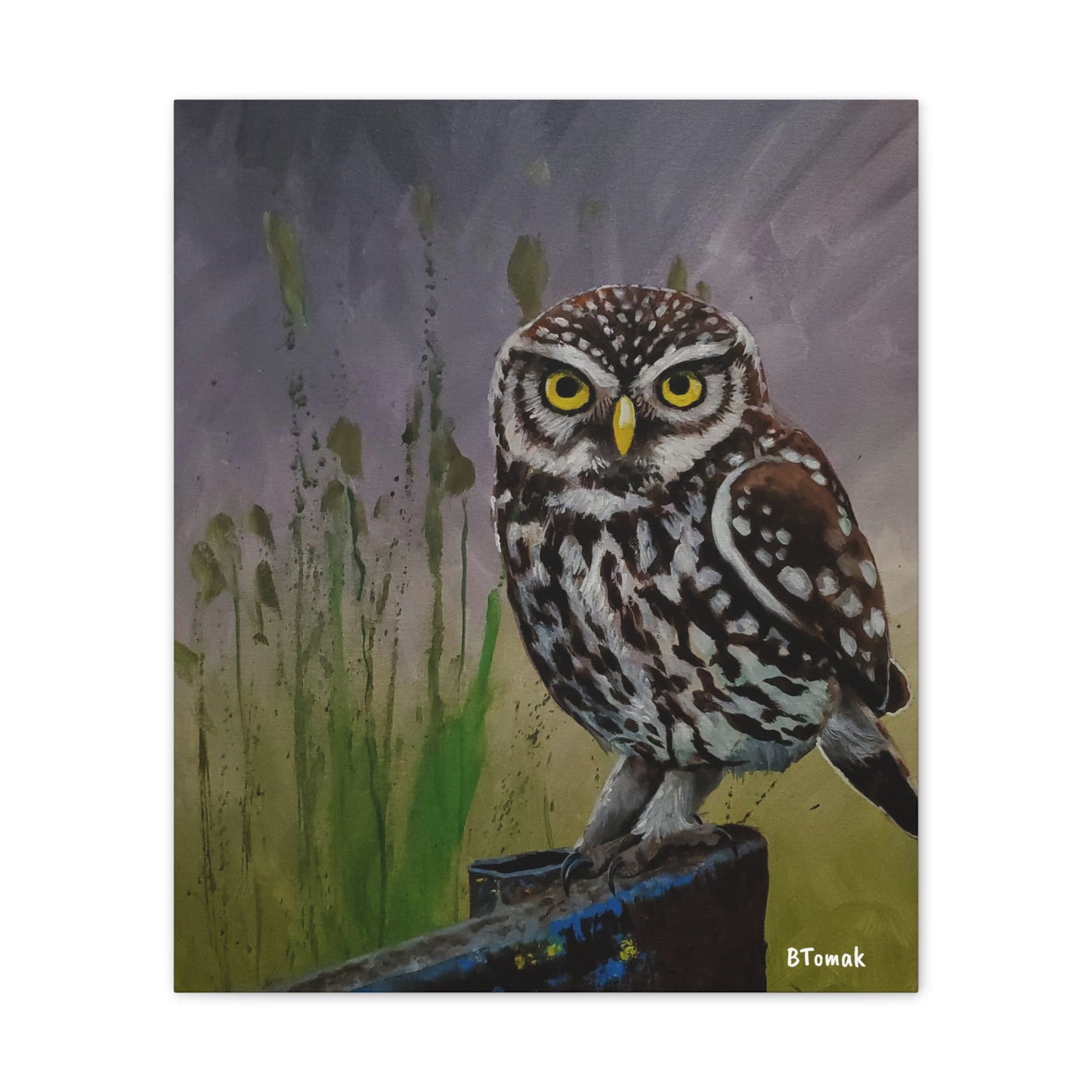 Owl Canvas Stretched