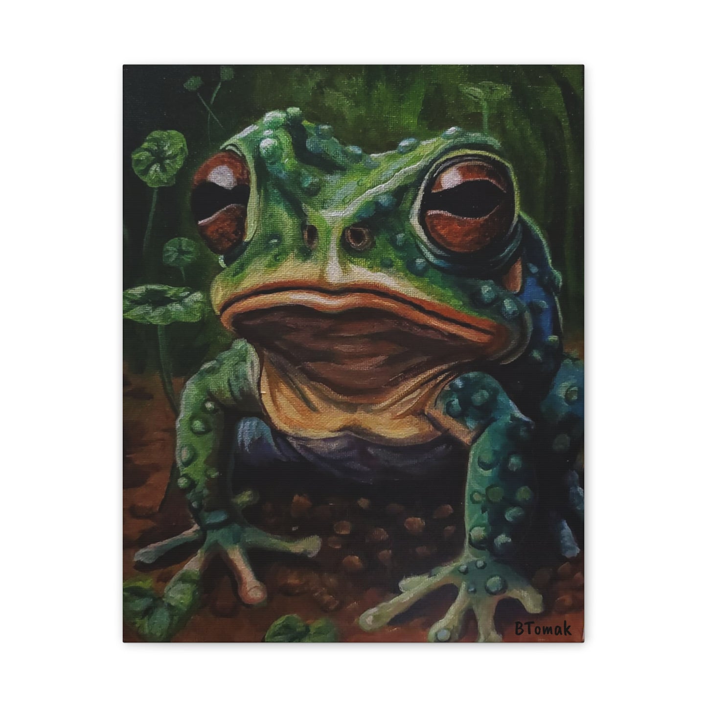 Toad Canvas Stretched
