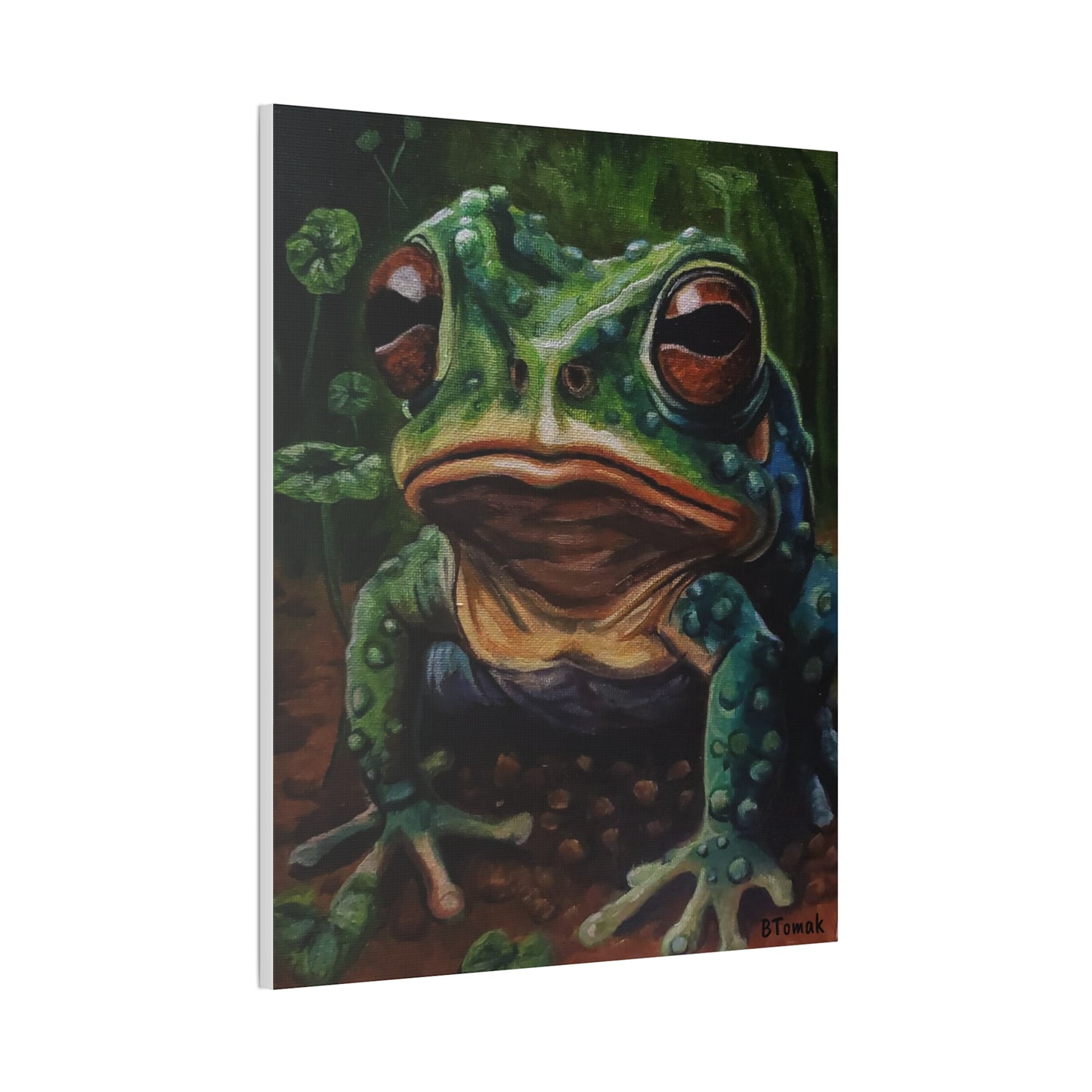 Toad Canvas Stretched