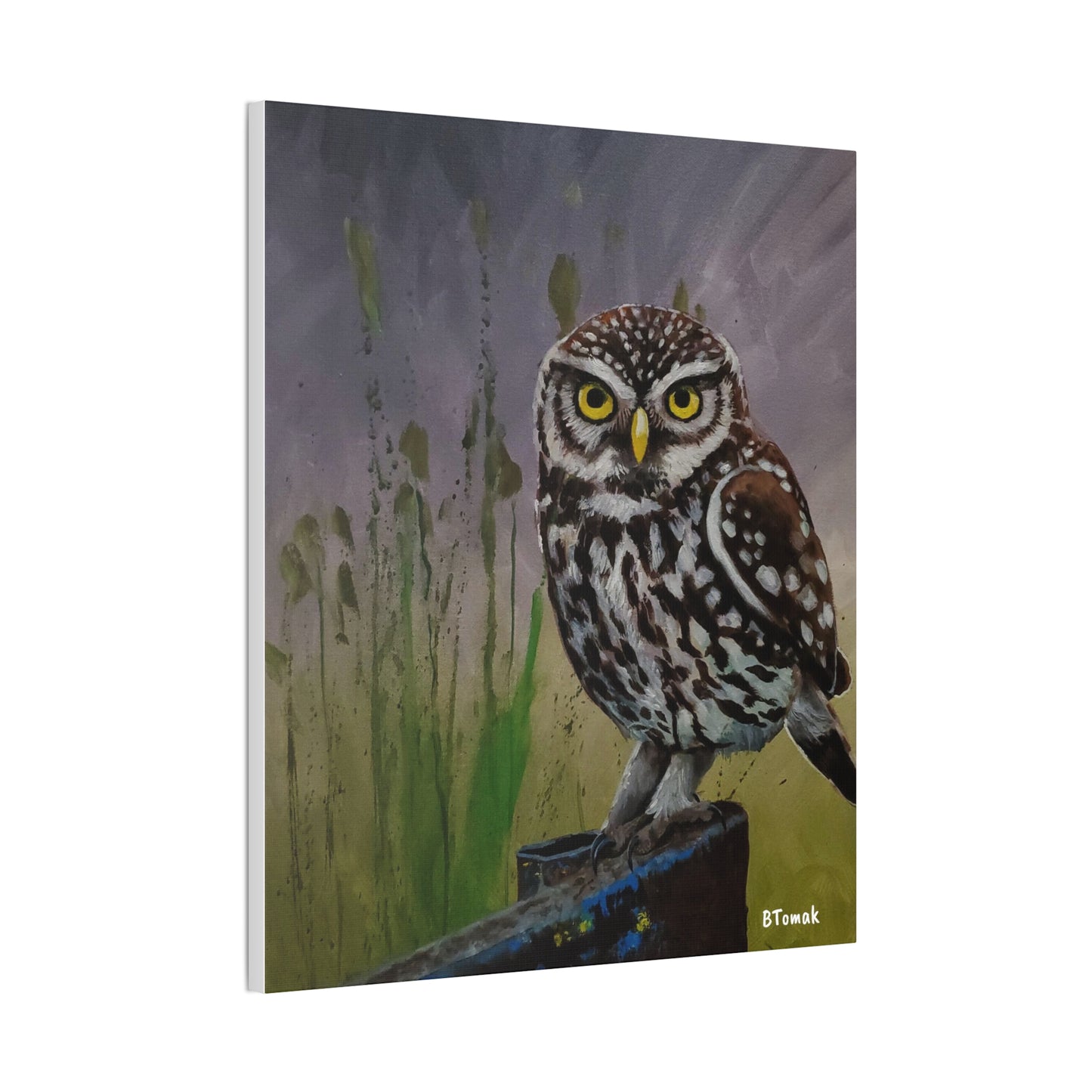 Owl Canvas Stretched