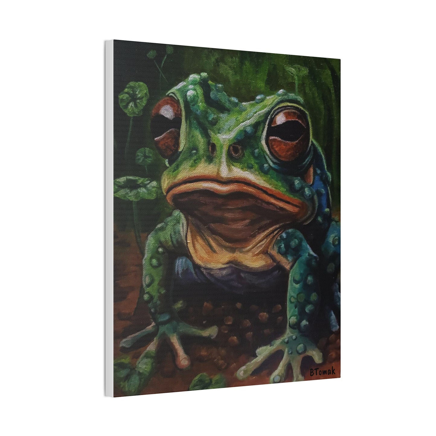 Toad Canvas Stretched