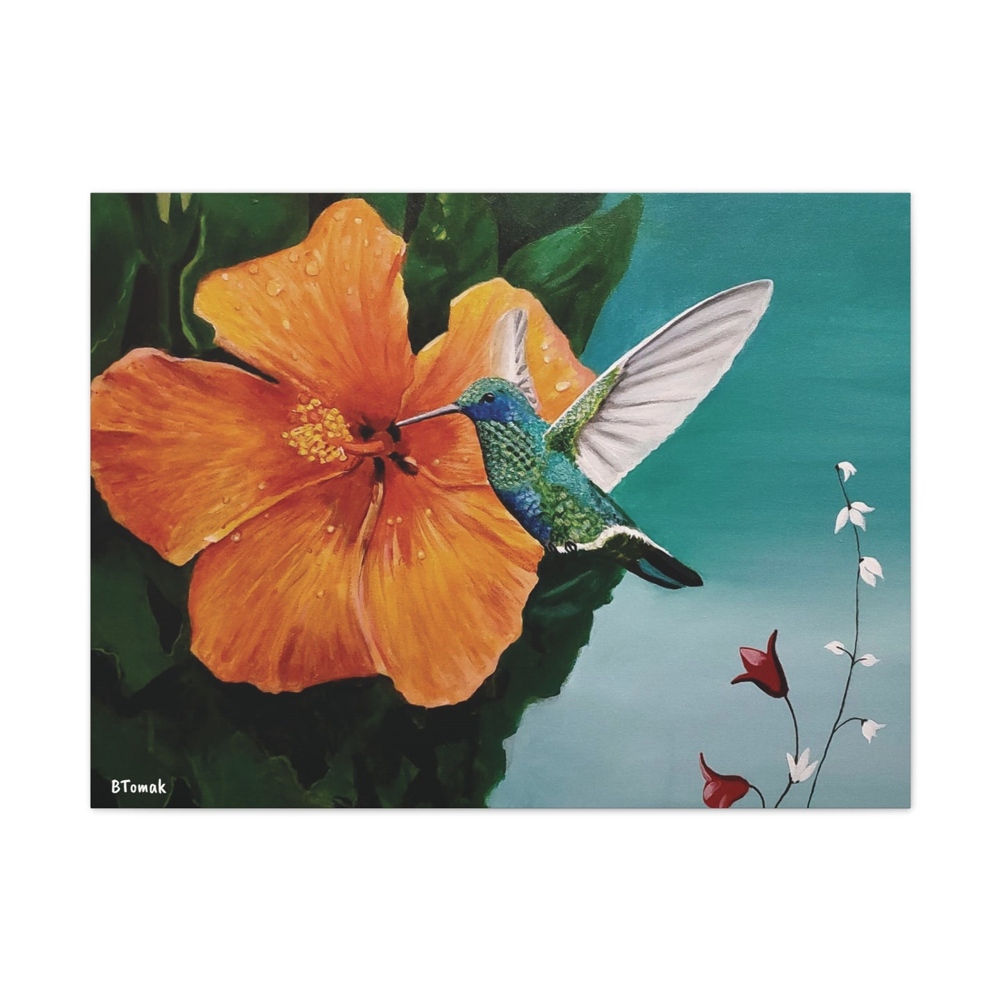 Humming Bird Canvas Stretched