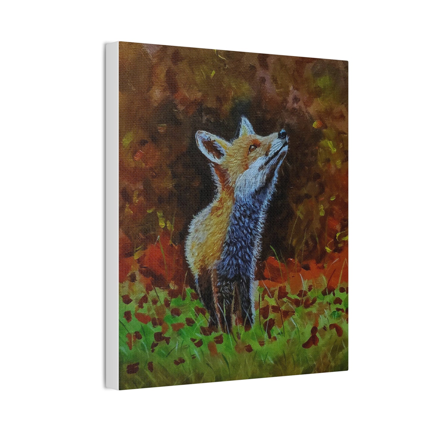Fox, Canvas Stretched