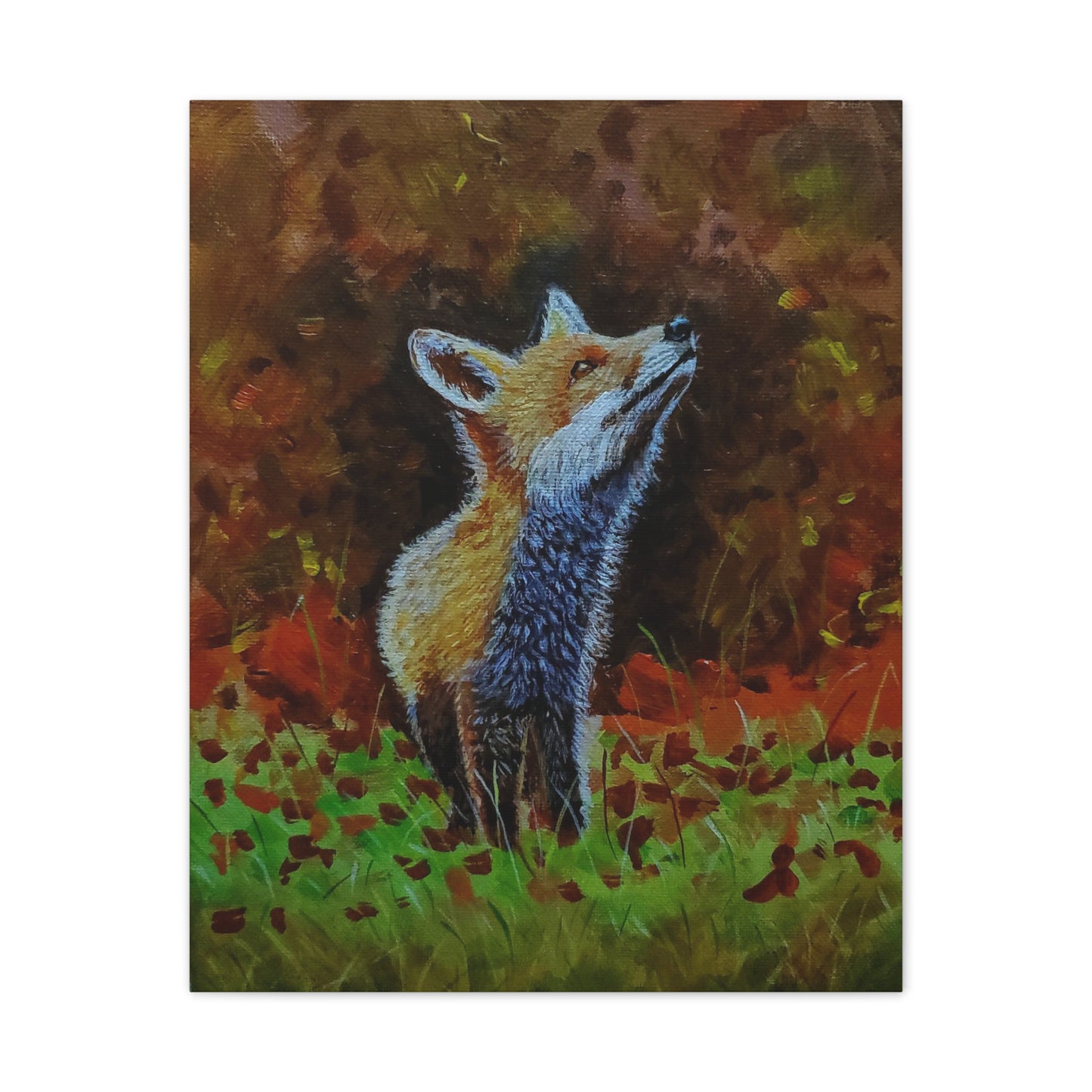 Fox, Canvas Stretched