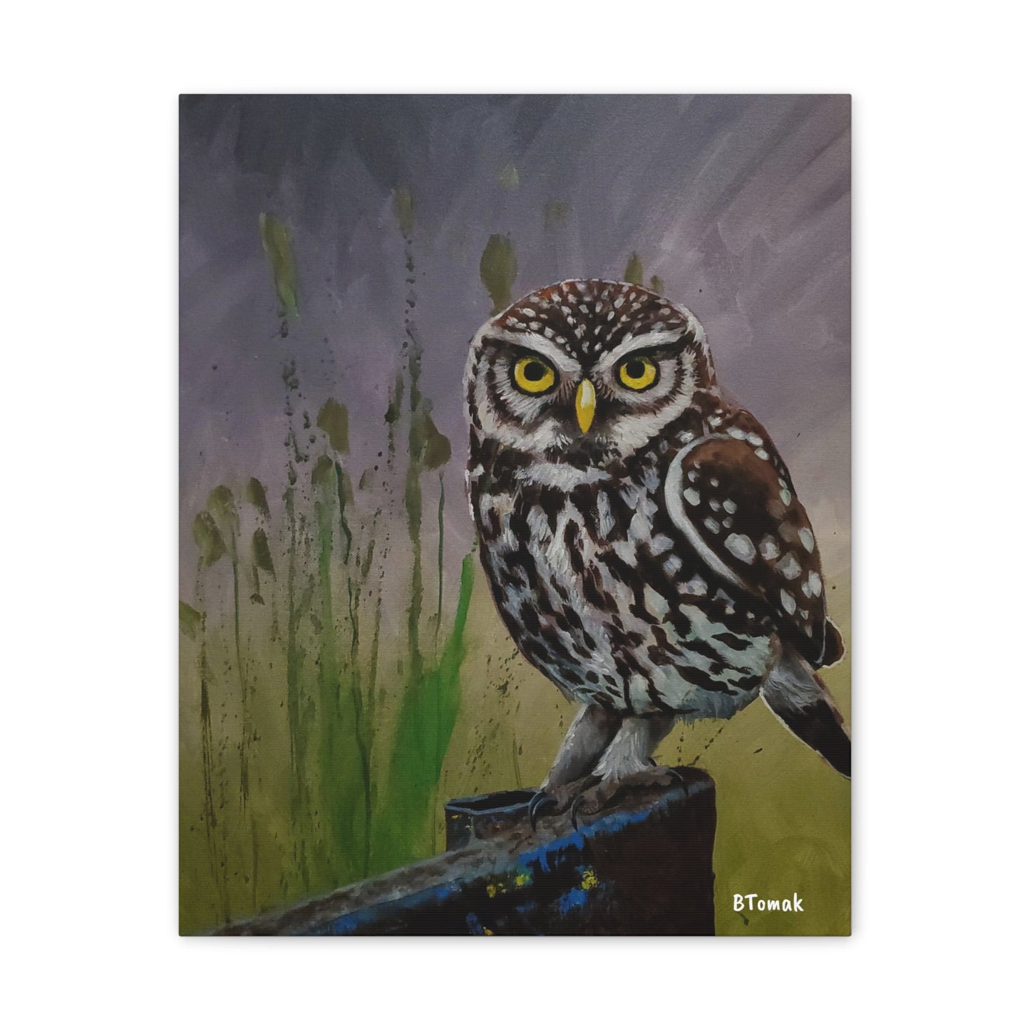 Owl Canvas Stretched