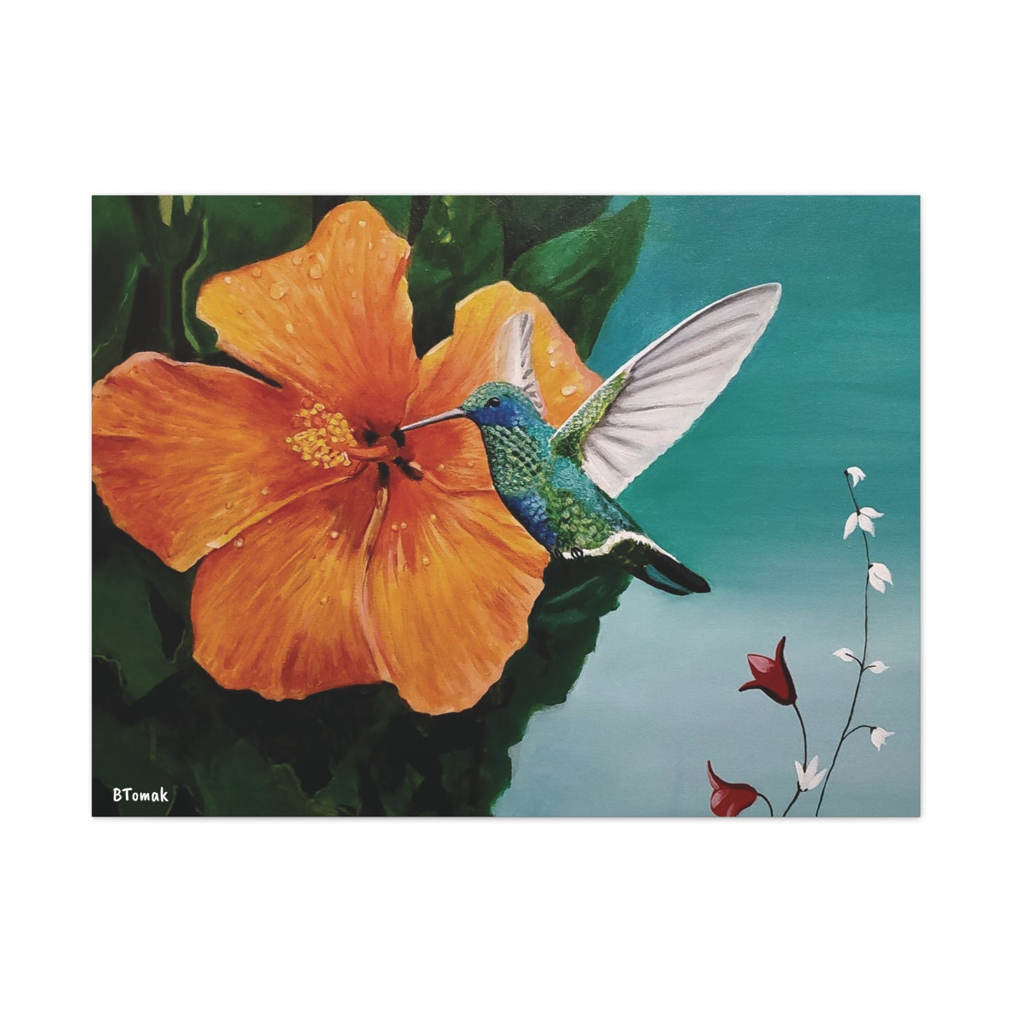 Humming Bird Canvas Stretched