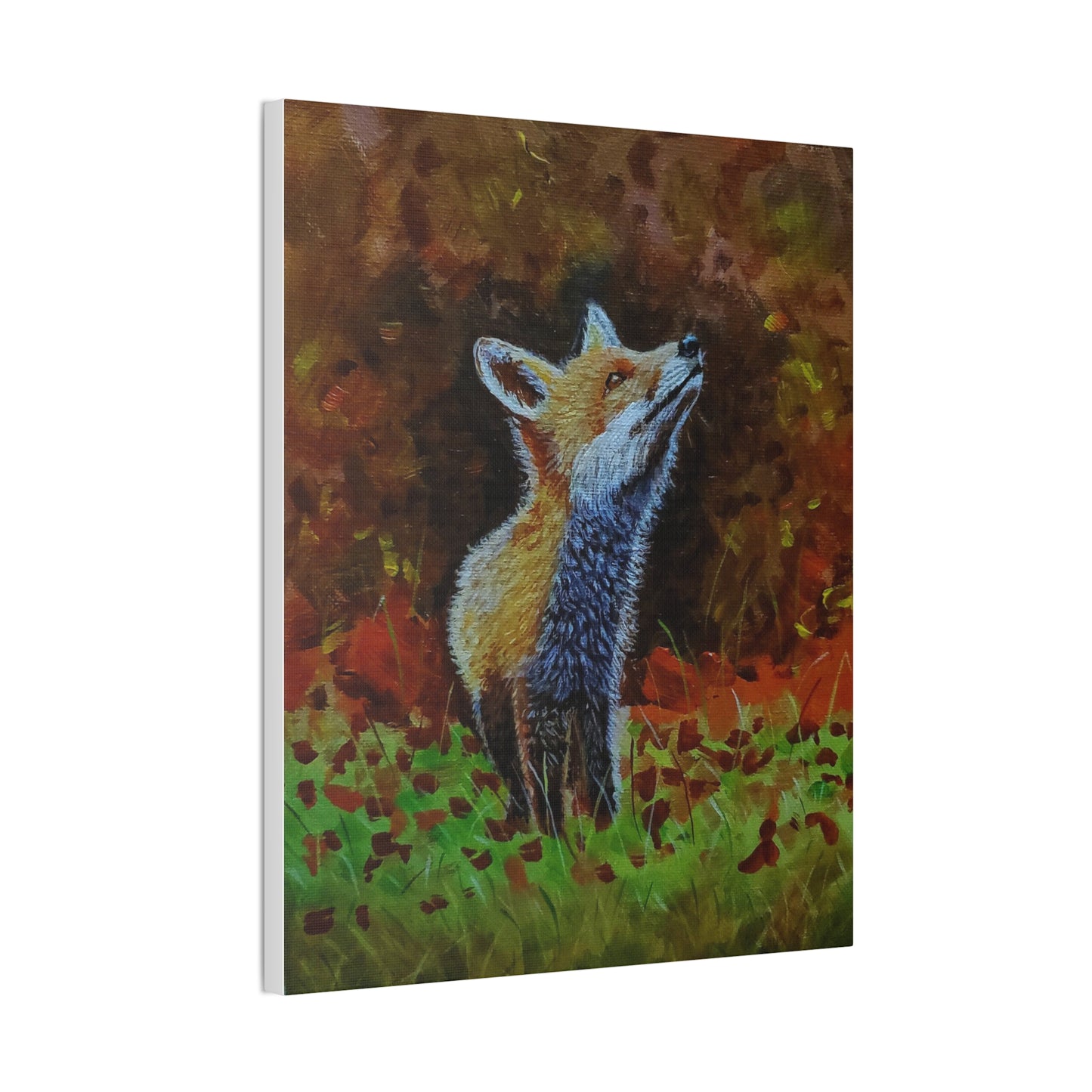 Fox, Canvas Stretched