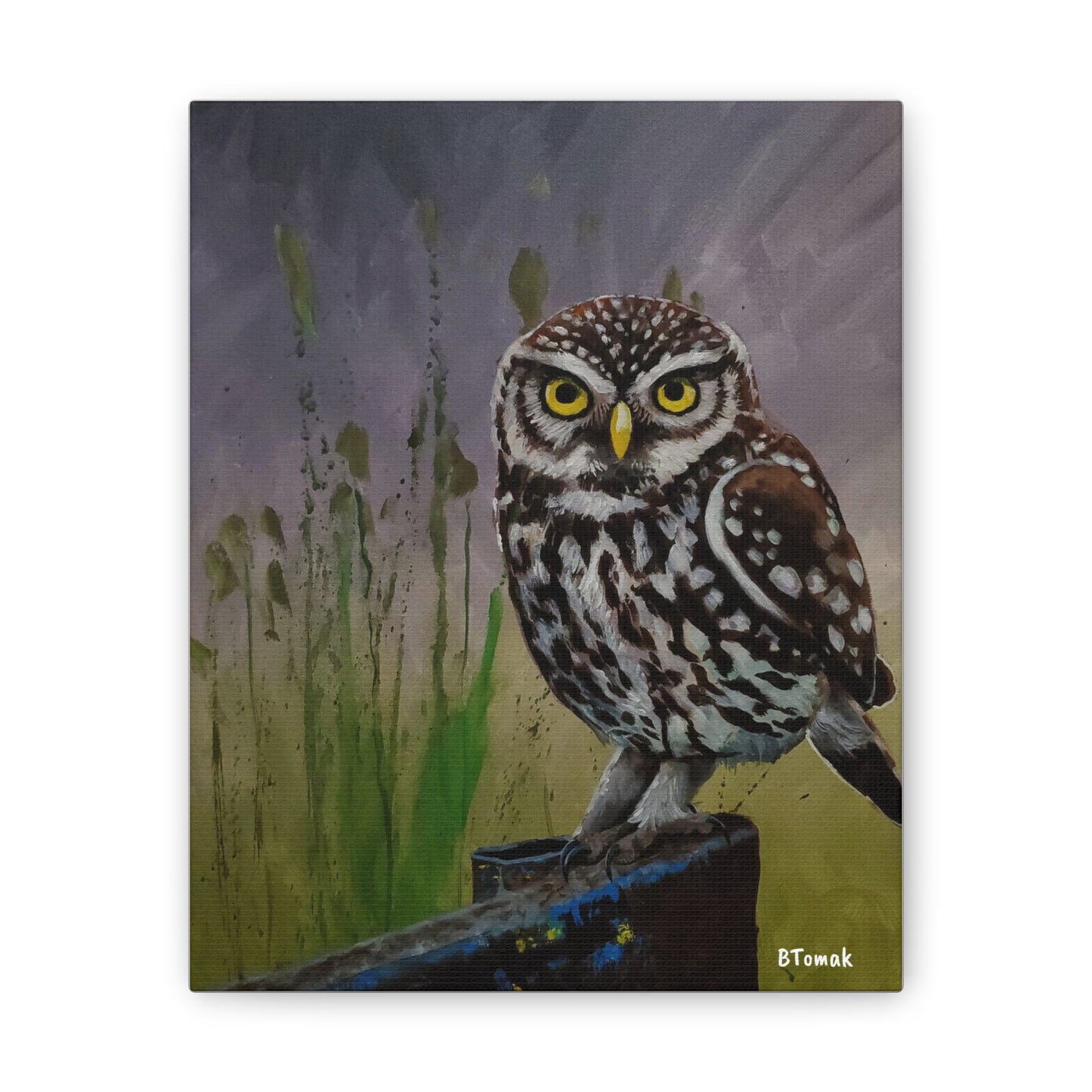 Owl Canvas Stretched