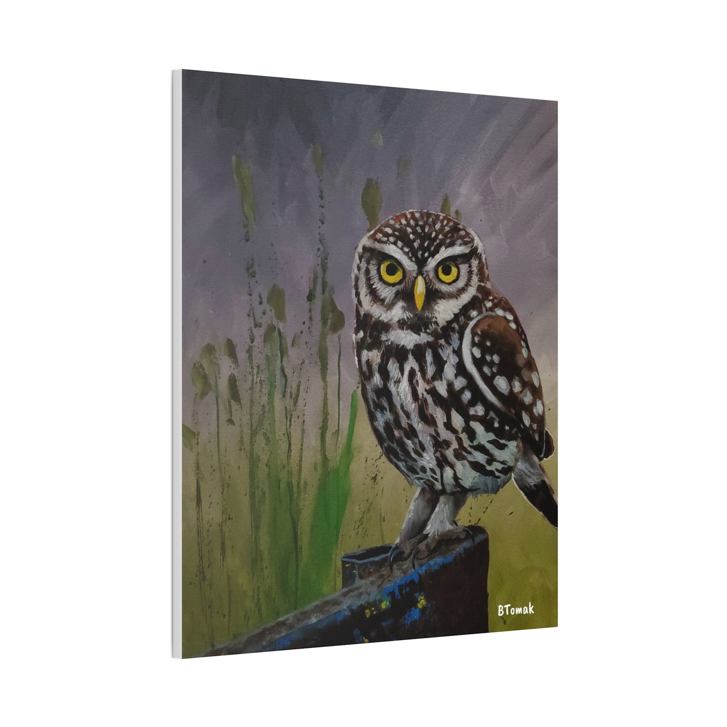Owl Canvas Stretched