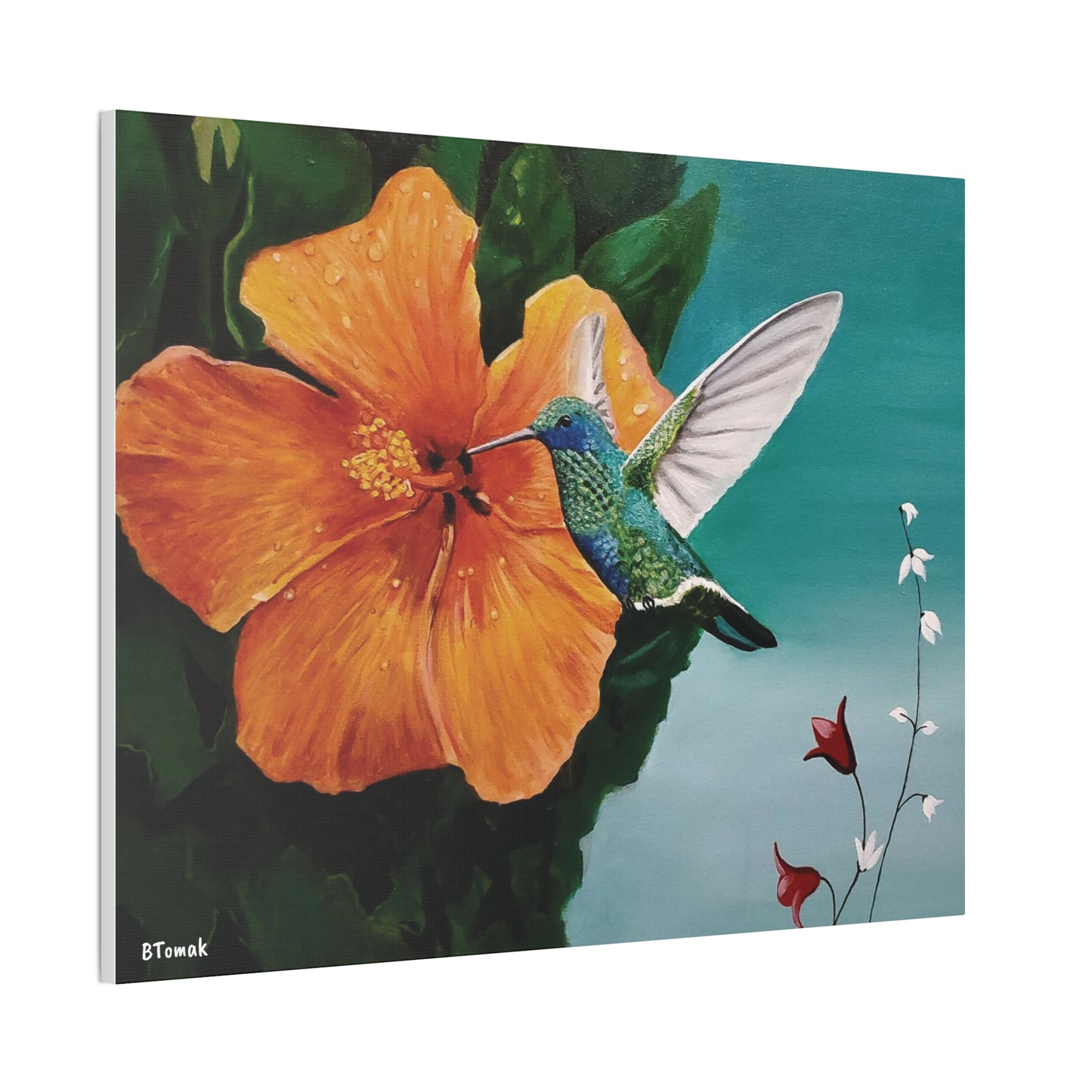Humming Bird Canvas Stretched