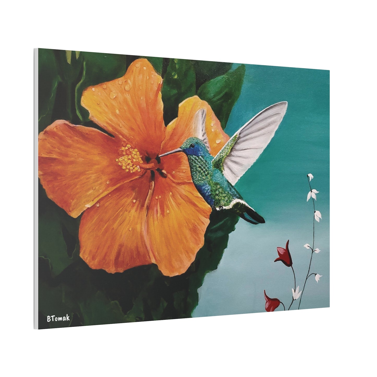 Humming Bird Canvas Stretched