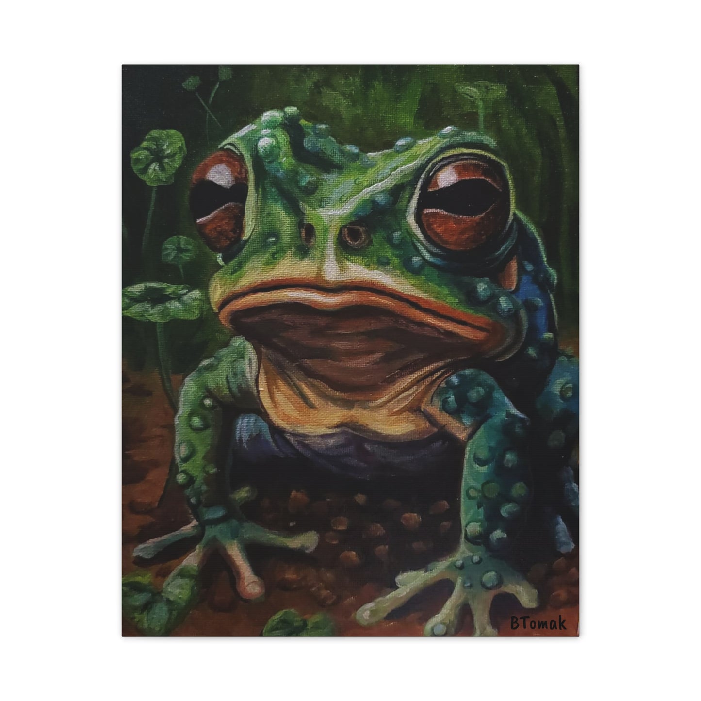 Toad Canvas Stretched