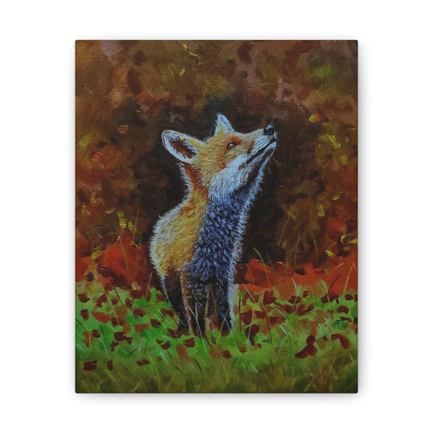 Fox, Canvas Stretched