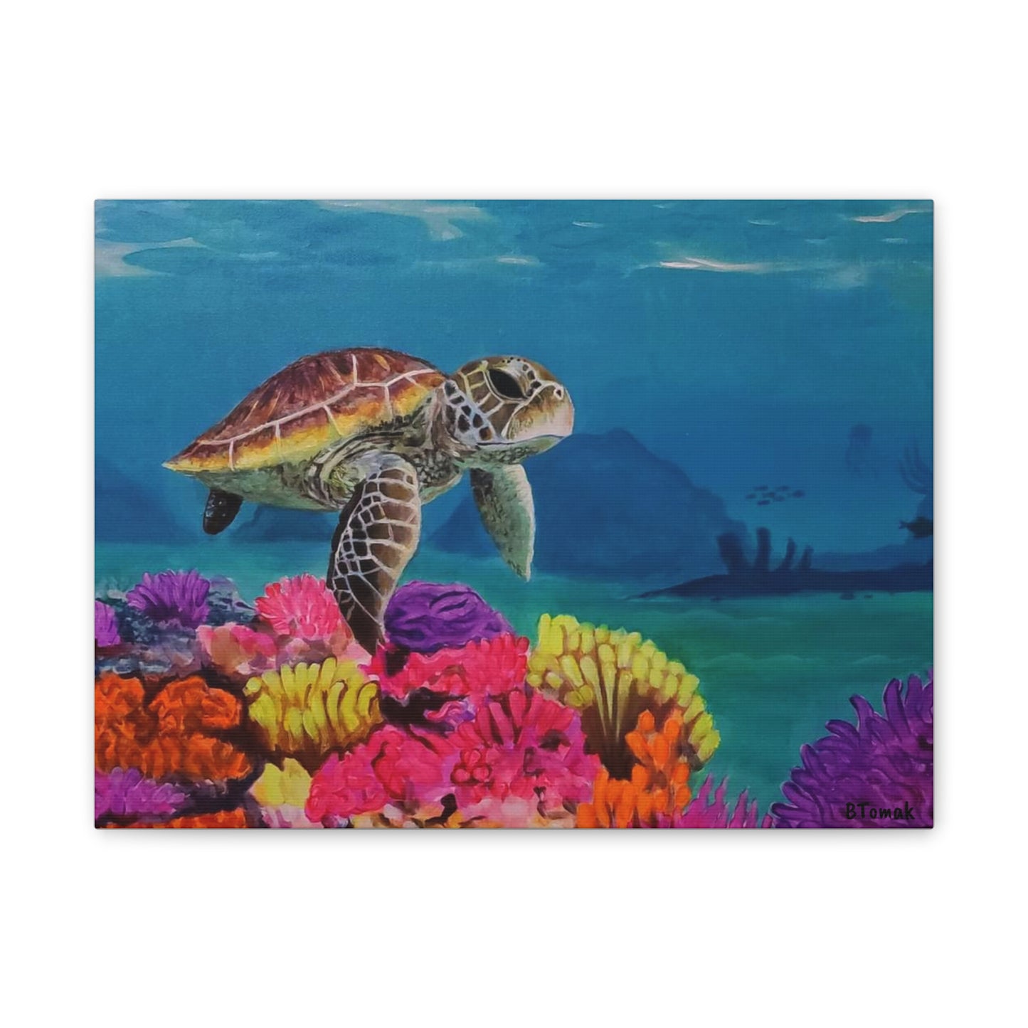 Tready Freddie Canvas Stretched