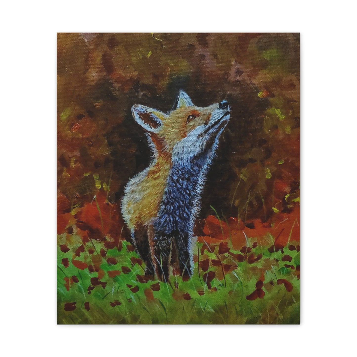 Fox, Canvas Stretched