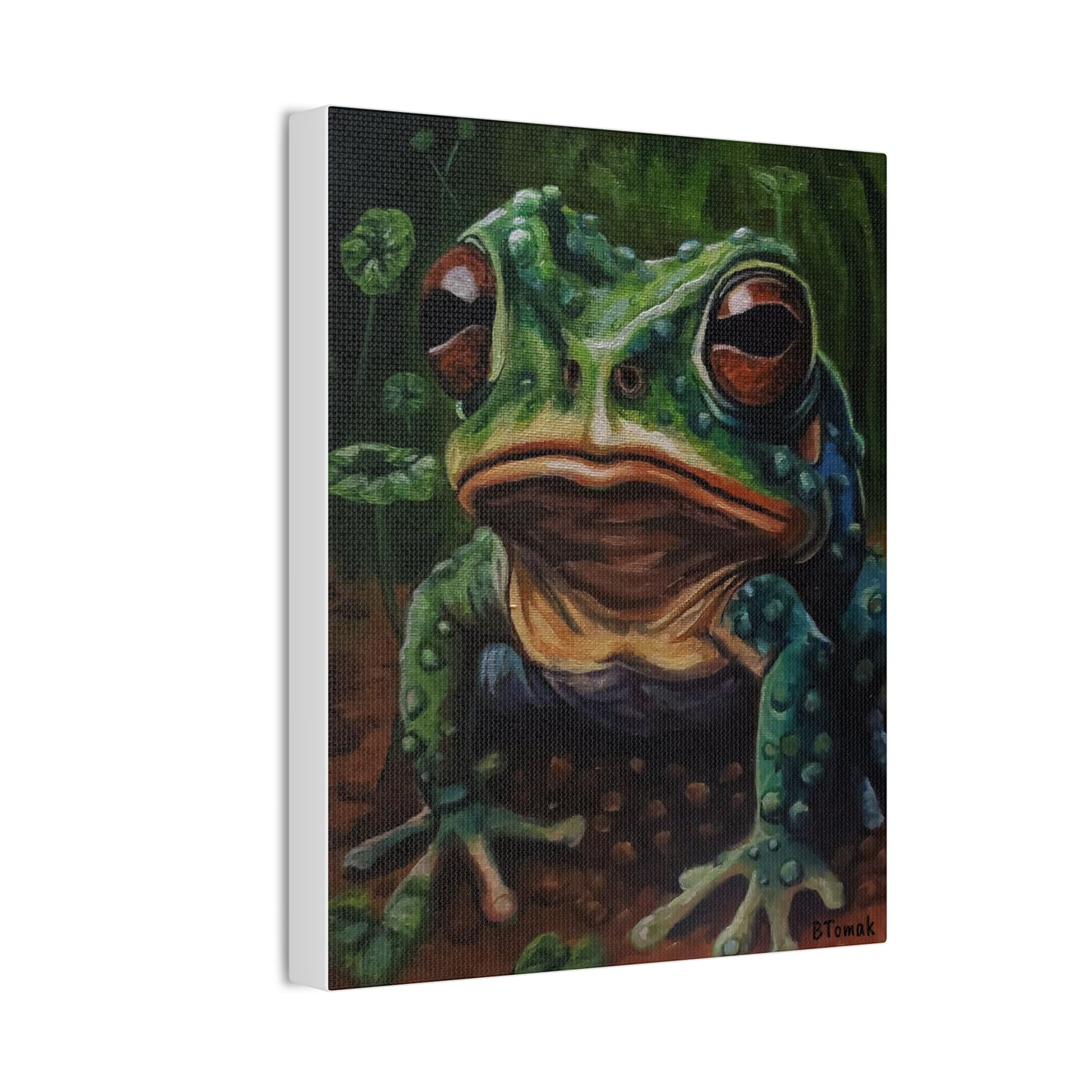 Toad Canvas Stretched
