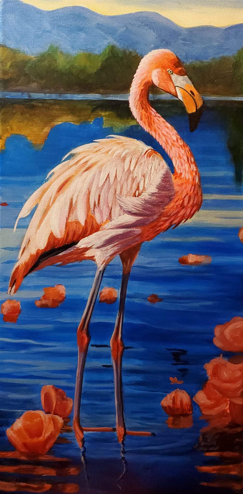 Flamingo