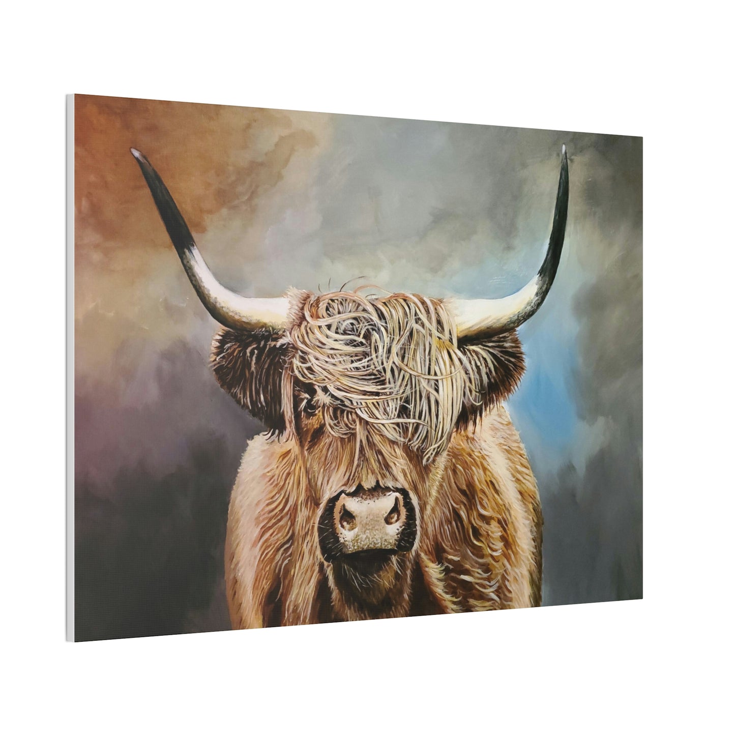 Highland Cow Canvas Stretched
