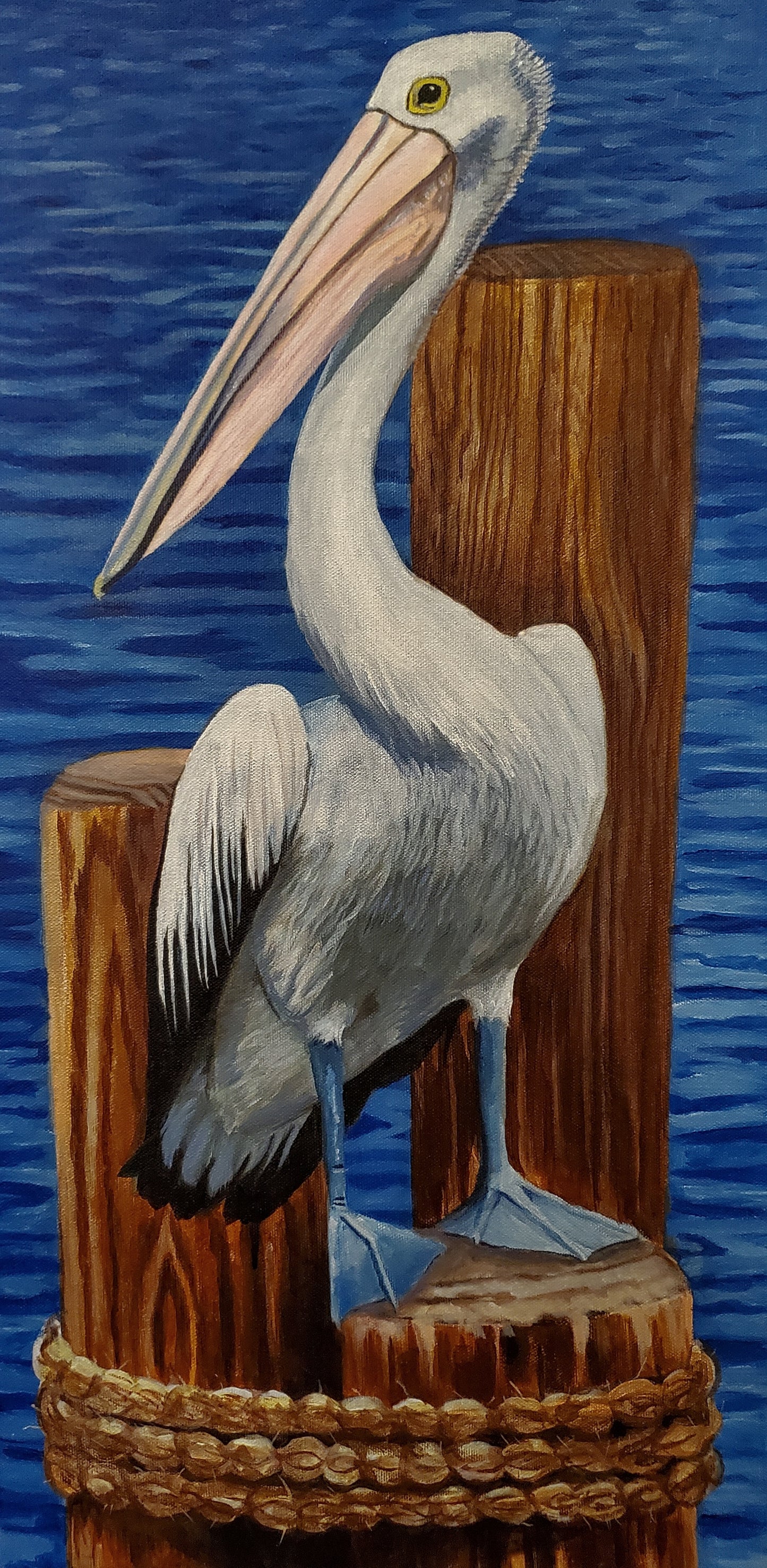 Peter Beaks