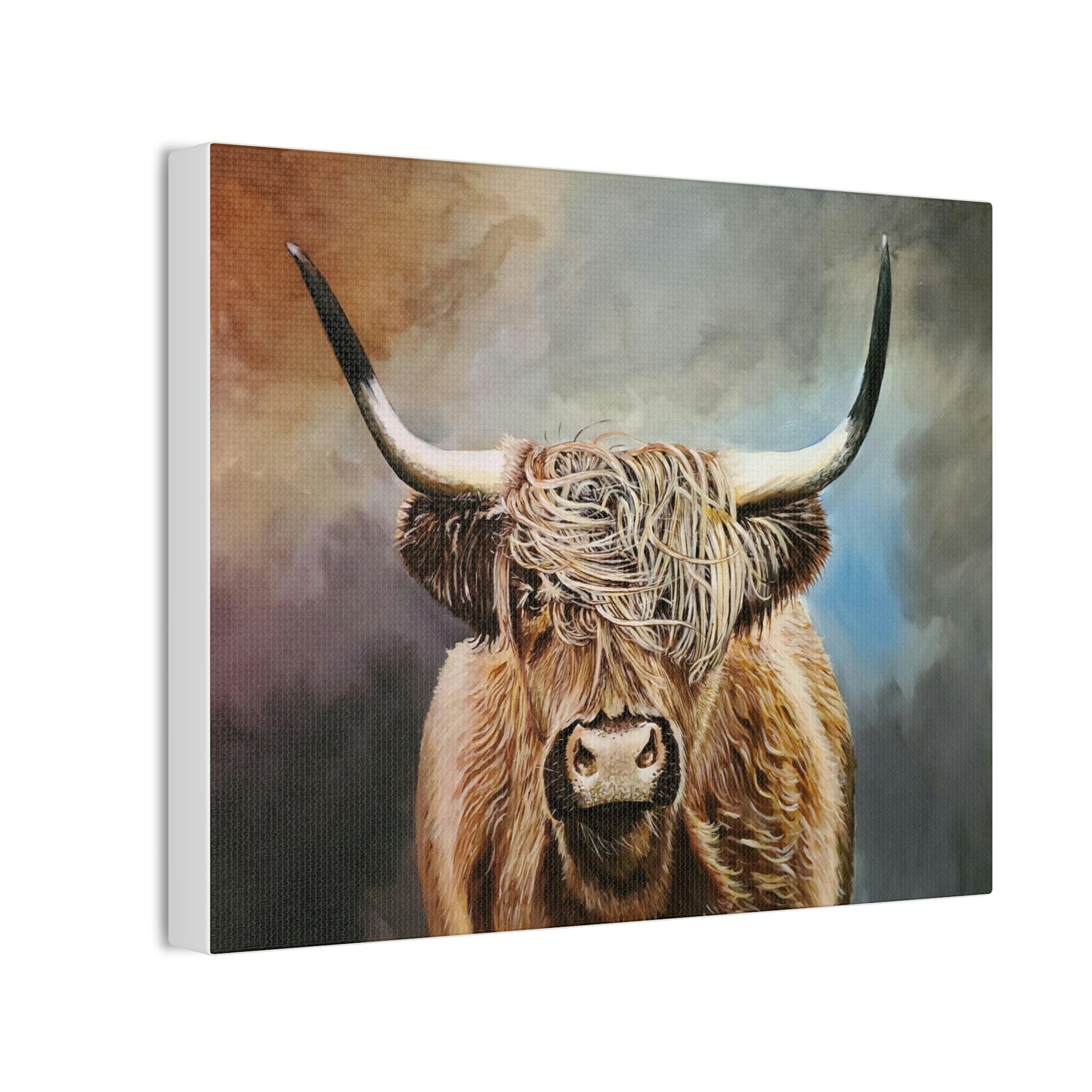 Highland Cow Canvas Stretched
