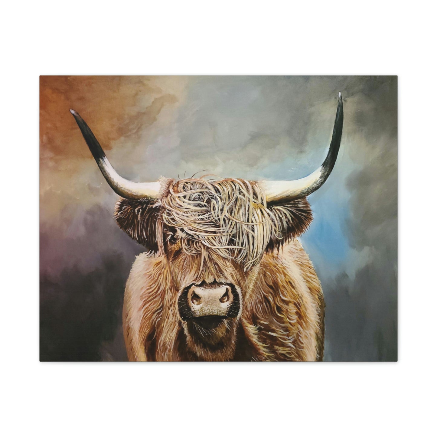 Highland Cow Canvas Stretched