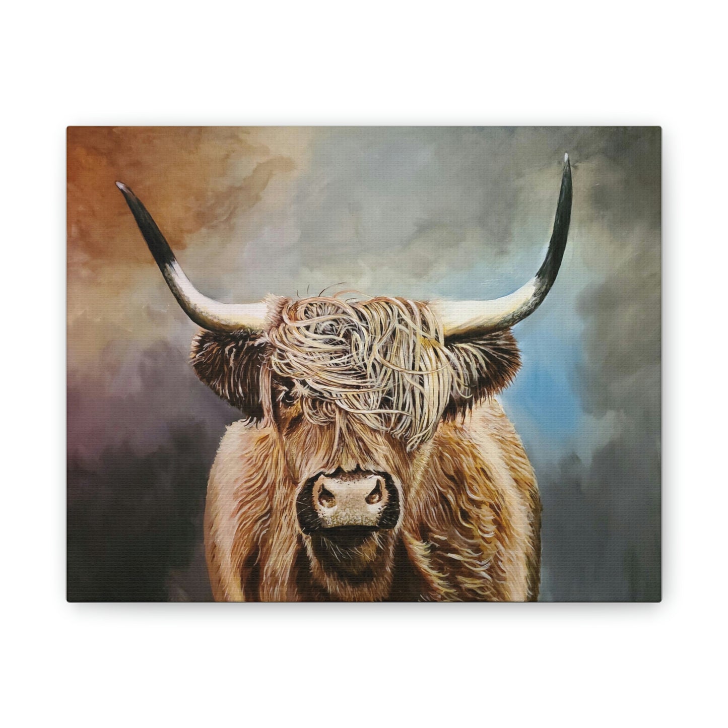 Highland Cow Canvas Stretched