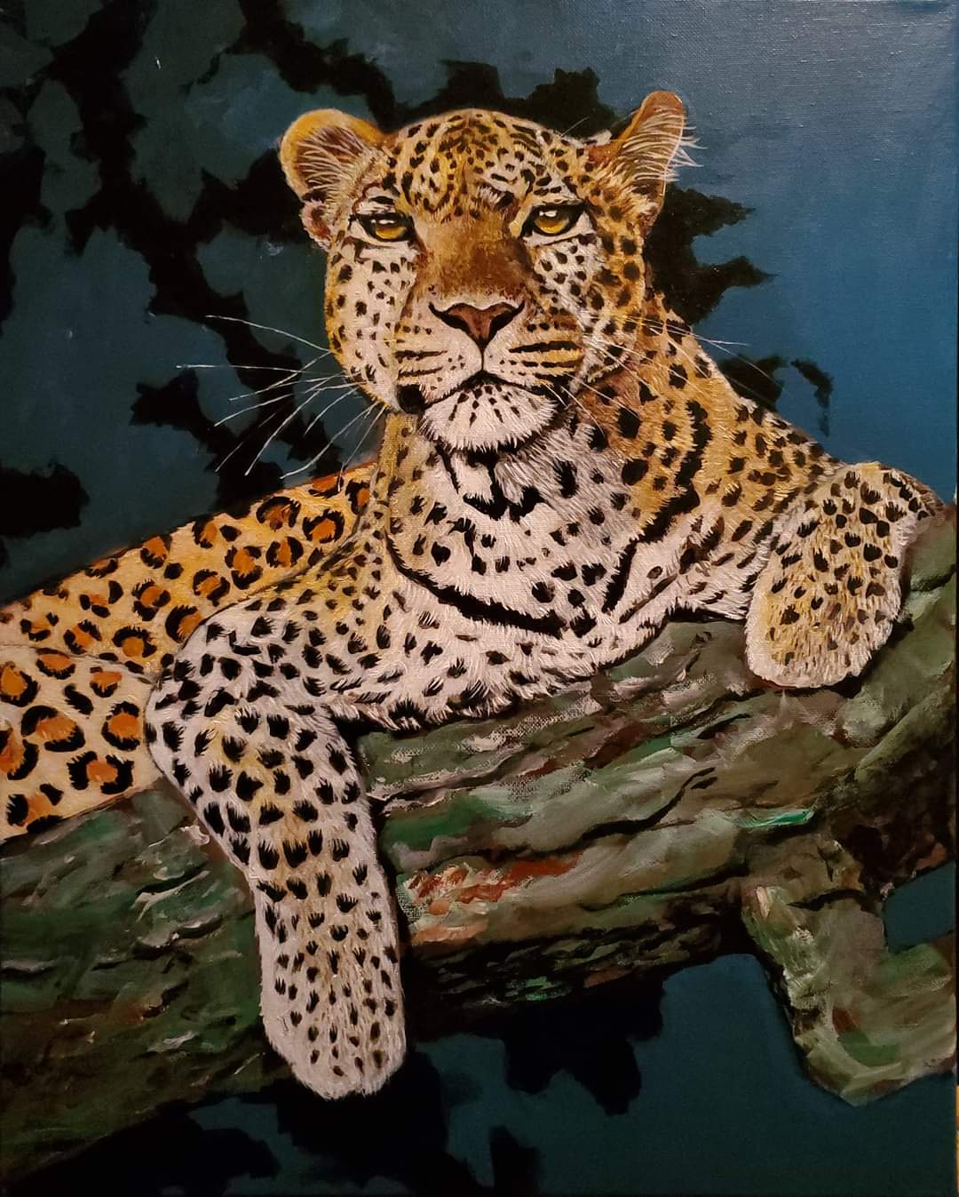Leopard