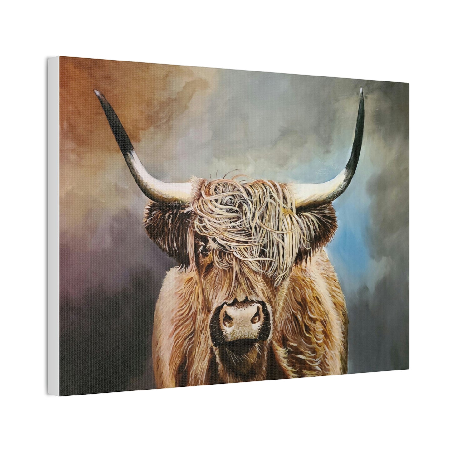 Highland Cow Canvas Stretched