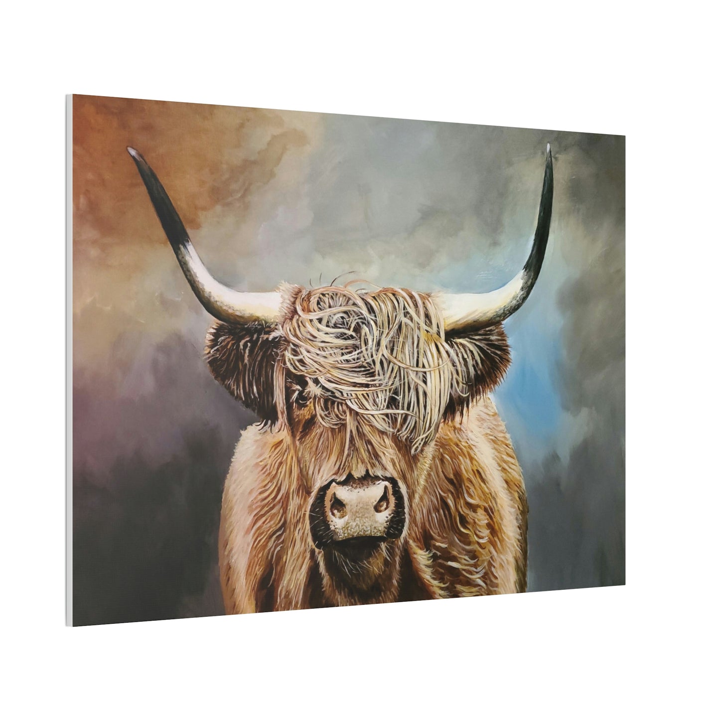 Highland Cow Canvas Stretched