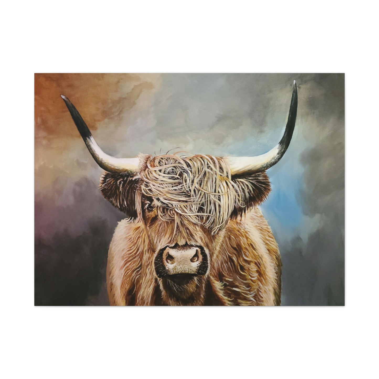Highland Cow Canvas Stretched