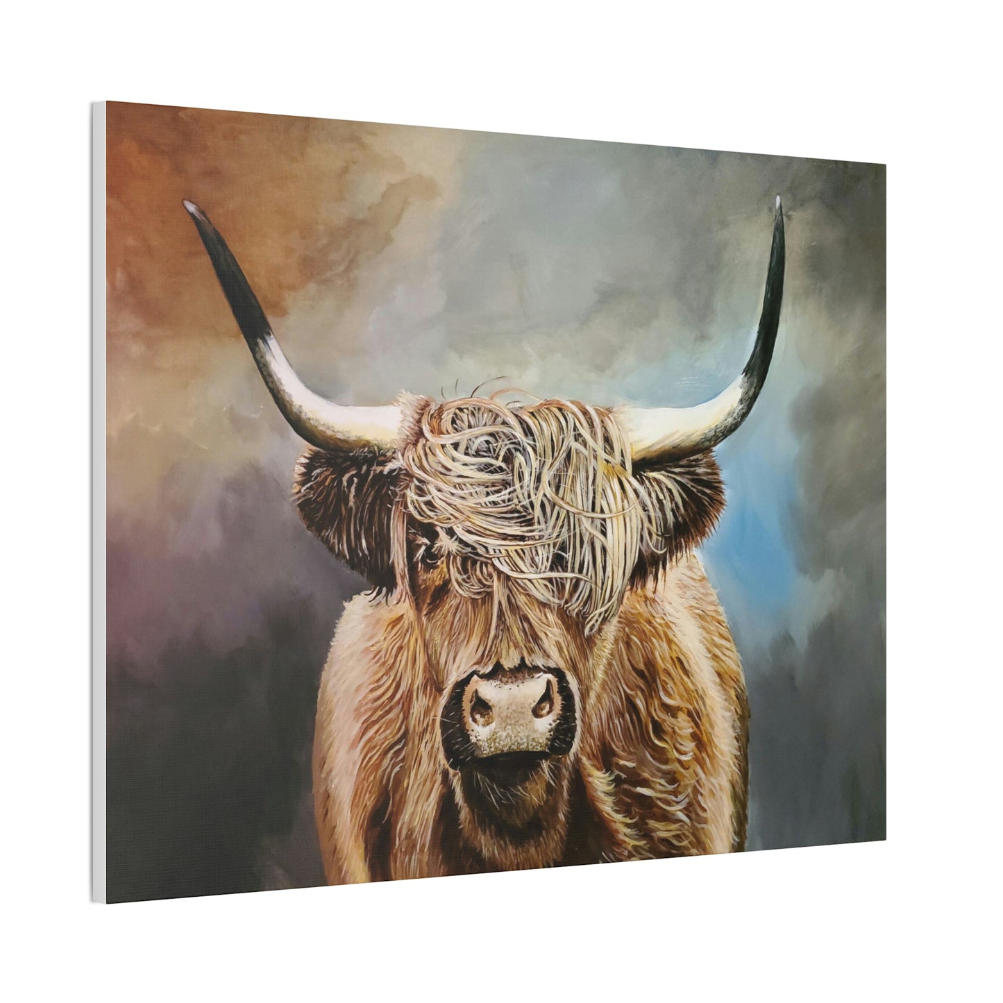 Highland Cow Canvas Stretched