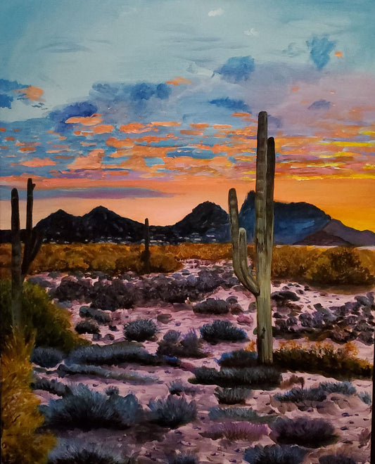 Desert Cactus at sunset