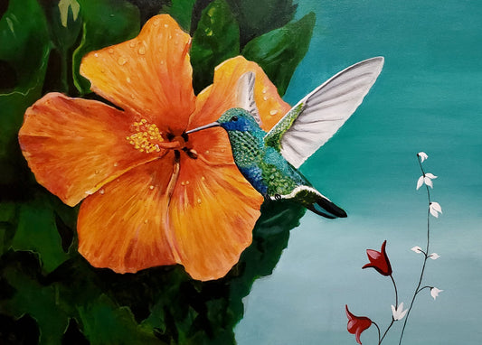 Hummingbird