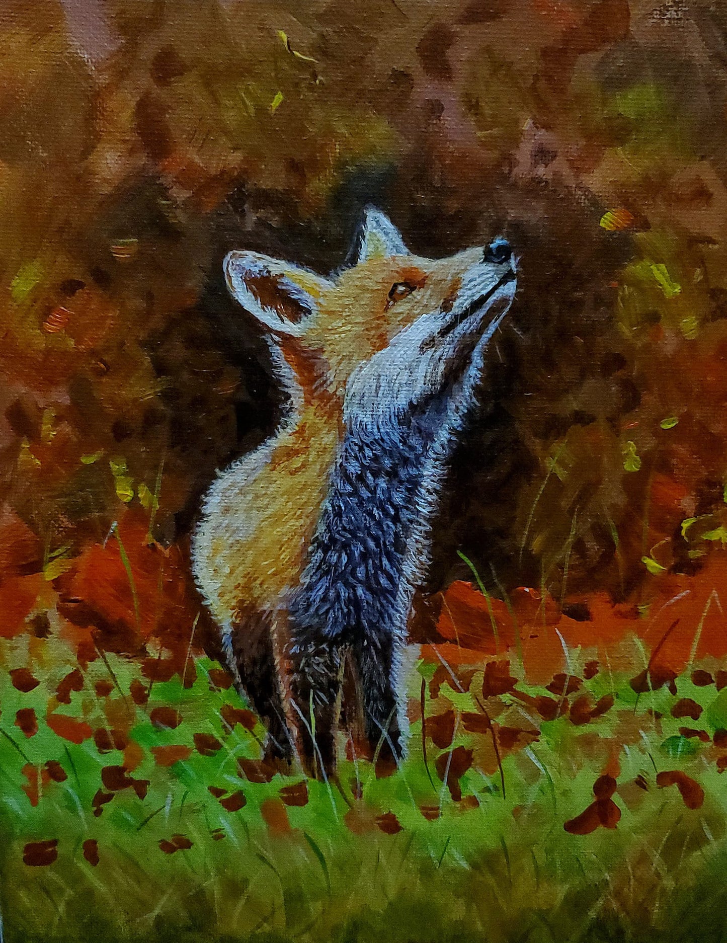 Fox