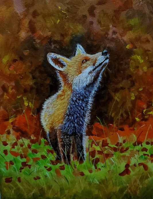 Fox