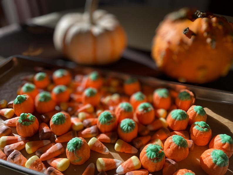 Autumn mix candy corn